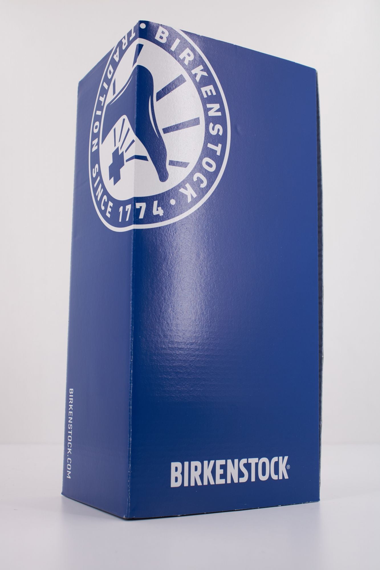 BIRKENSTOCK SYDNEY CUSHION BUCKLE en color BEIS (6)