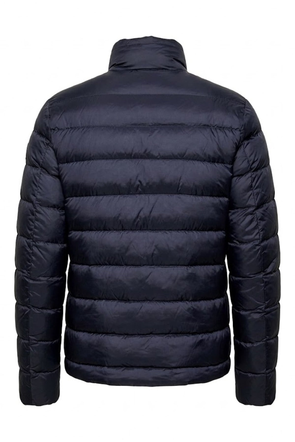BLAUER AUSTIN en color AZUL (2)