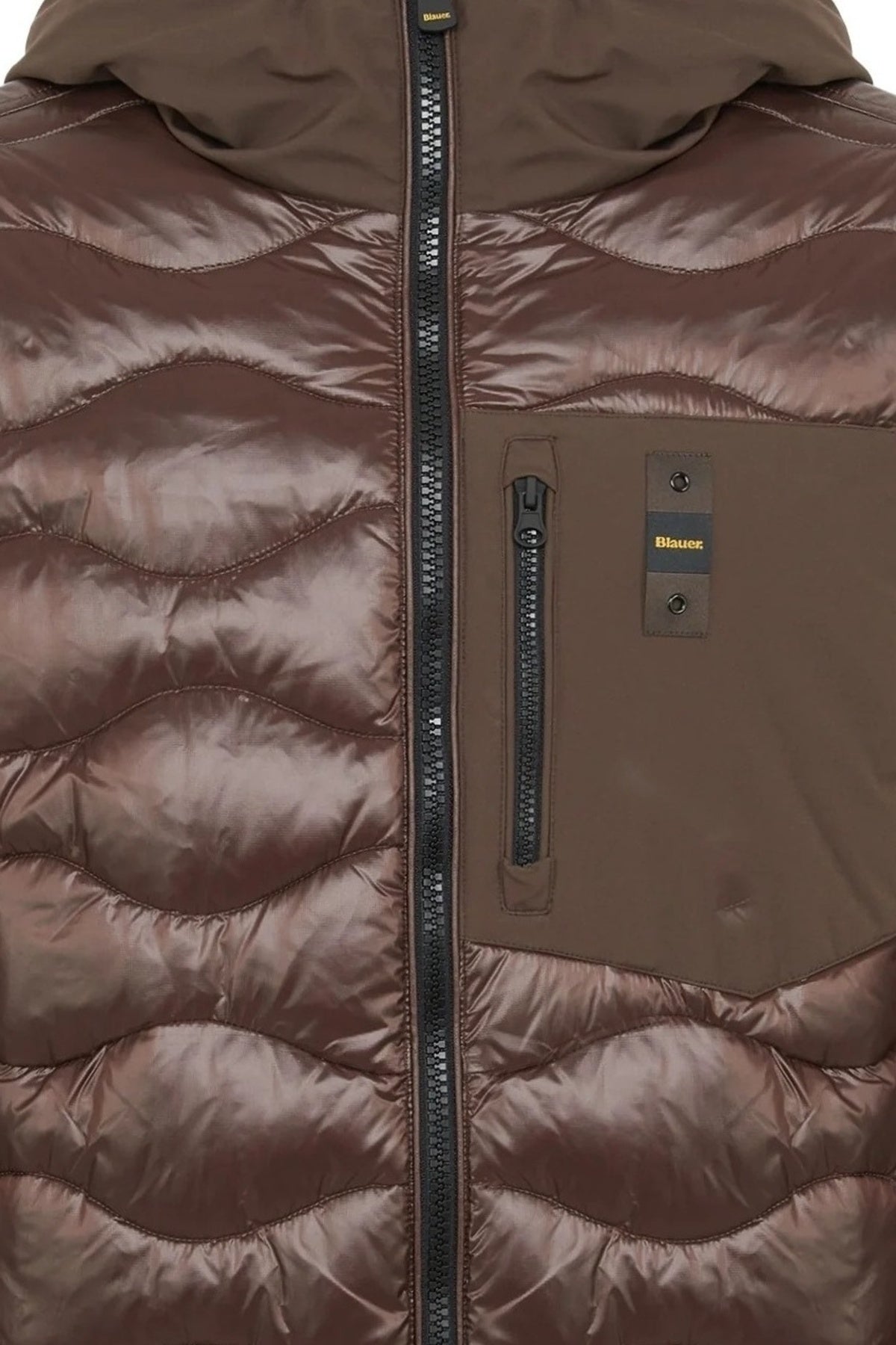 BLAUER ALBERT 26WBLUC08068 en color MARRON (3)