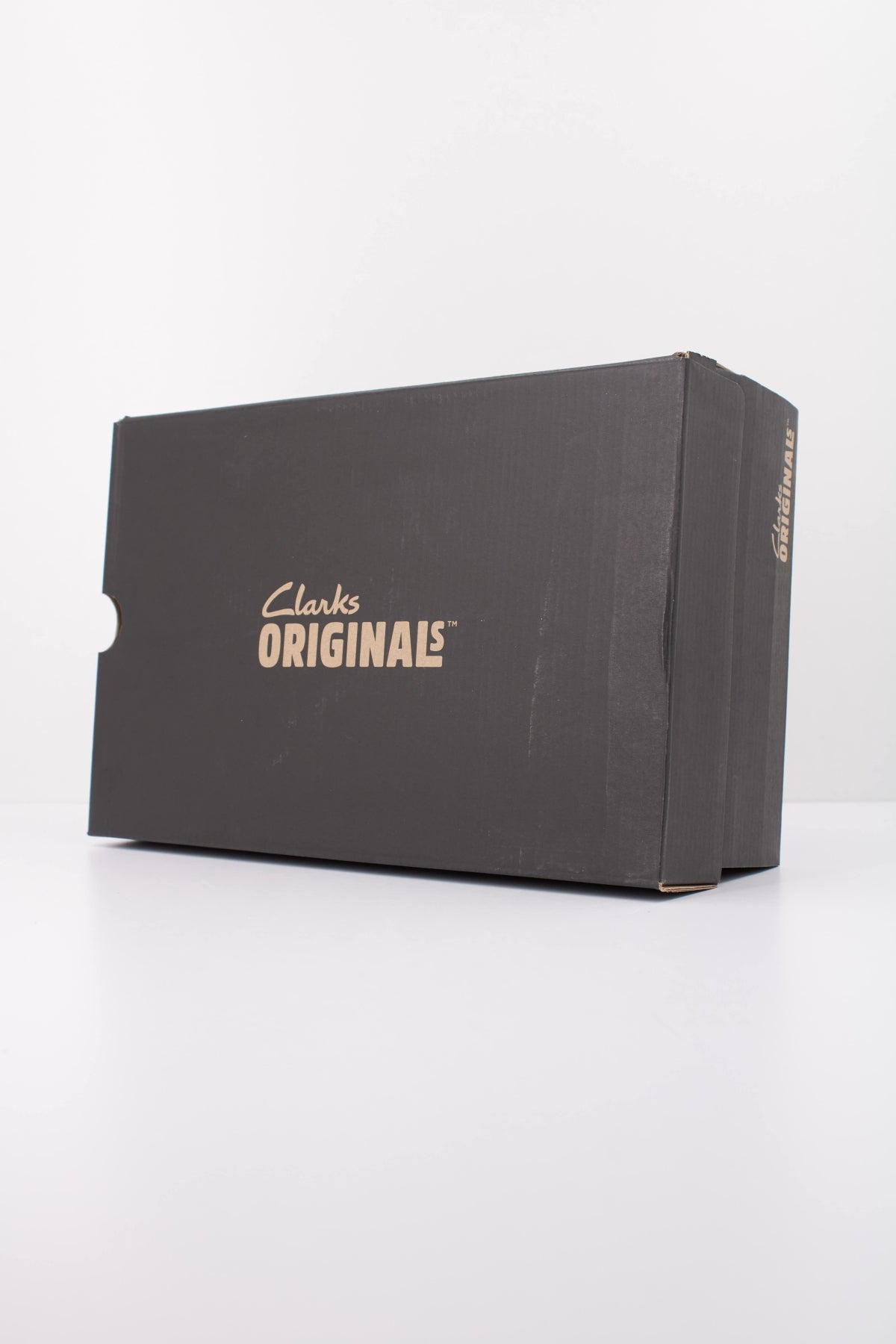 CLARKS DESERT ROCK LO MOLE en color GRIS (6)