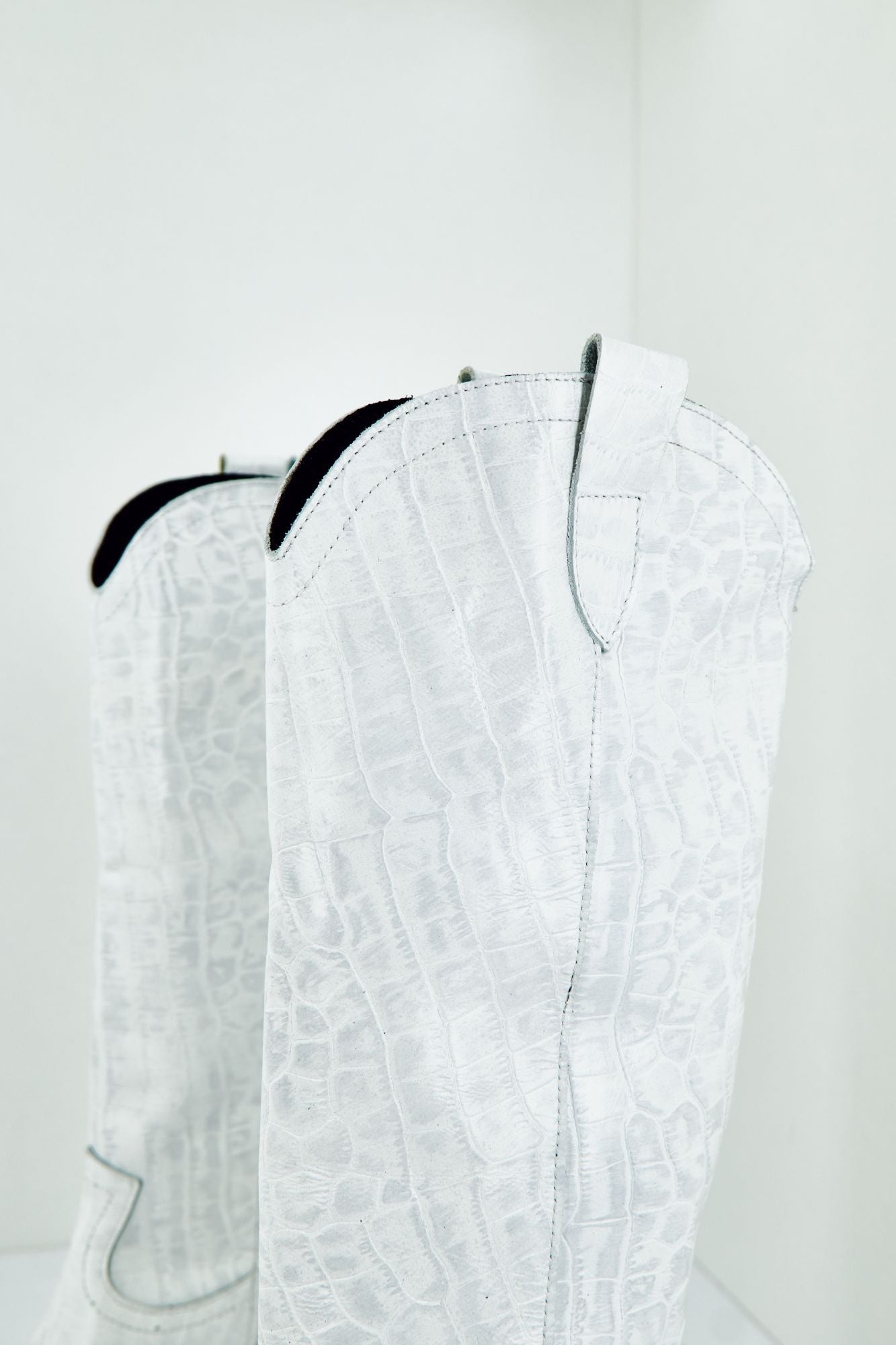 YELLOW ARIZONA en color BLANCO (4)