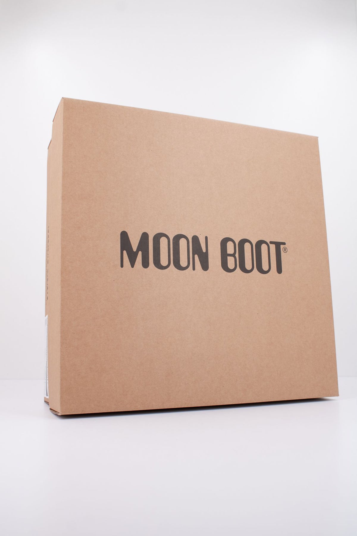 MOON BOOT ICON LOW NYL en color BLANCO (6)