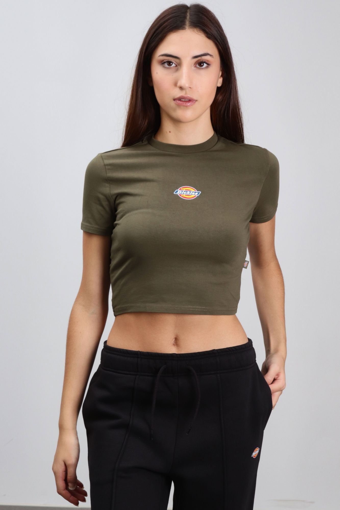 DICKIES MAPLE VALLEY TEE en color VERDE (1)