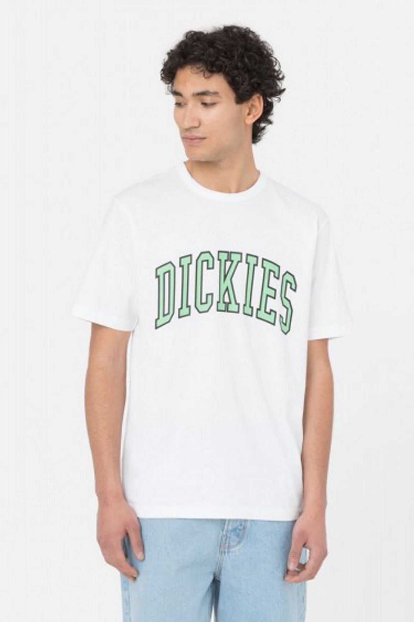DICKIES AITKIN TEE en color BLANCO (1)