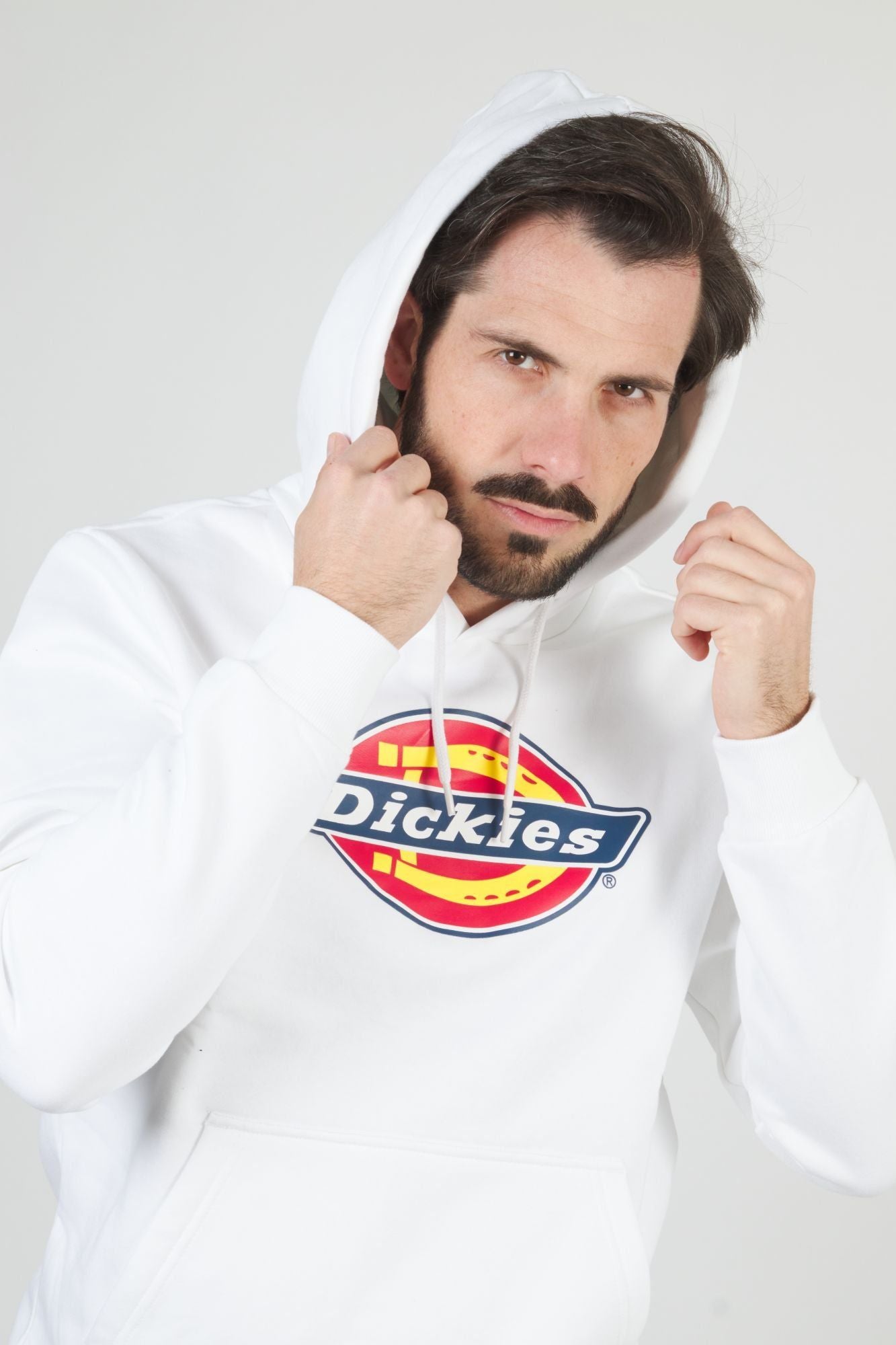 DICKIES ICON LOGO HOODIE en color BLANCO (3)