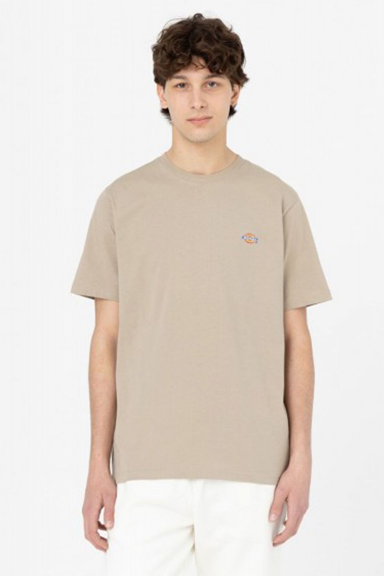 DICKIES SS MAPLETON T-SHIRT en color MARRON CLARO (1)