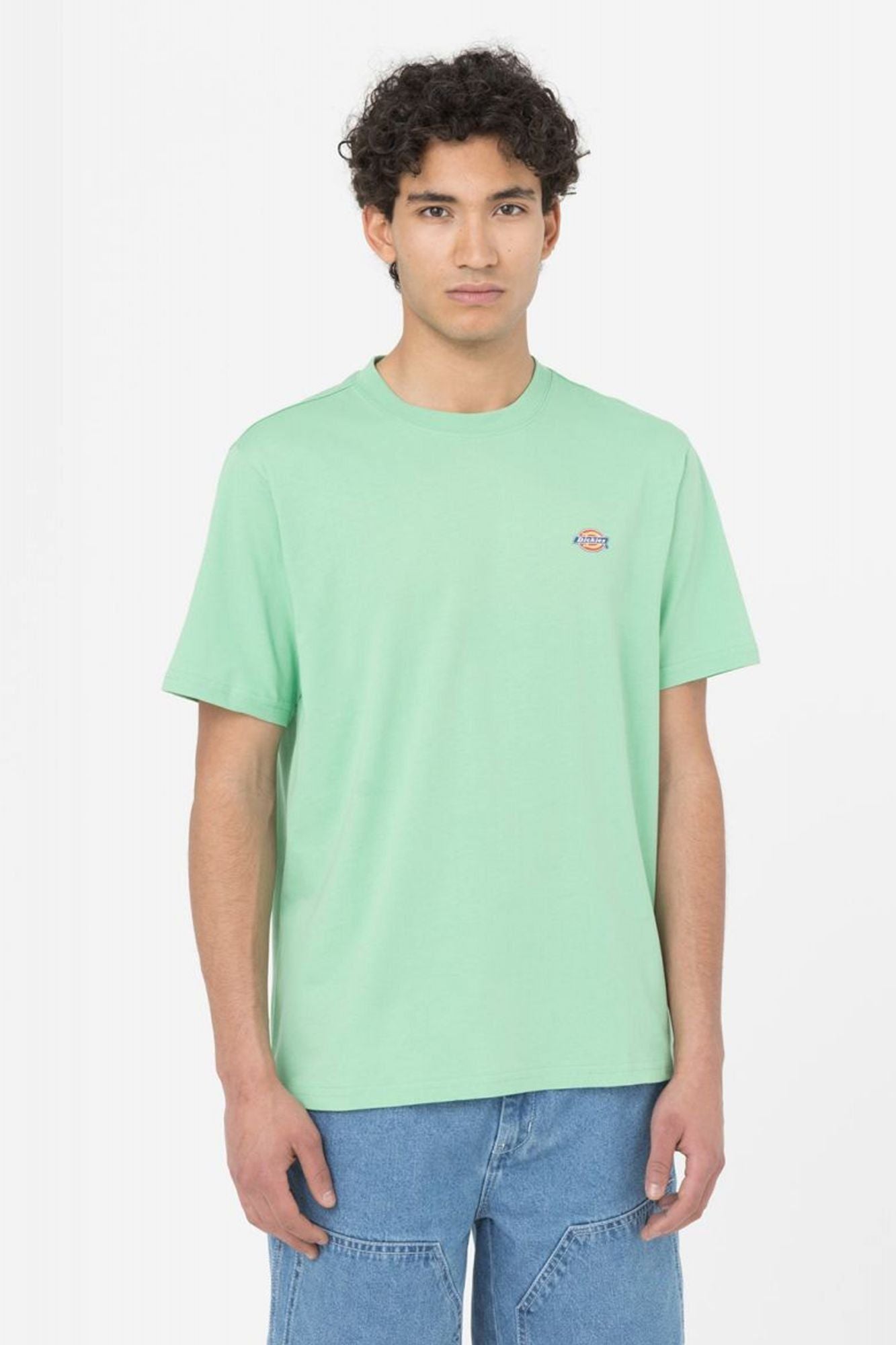 DICKIES SS MAPLETON T-SHIRT en color VERDE (1)