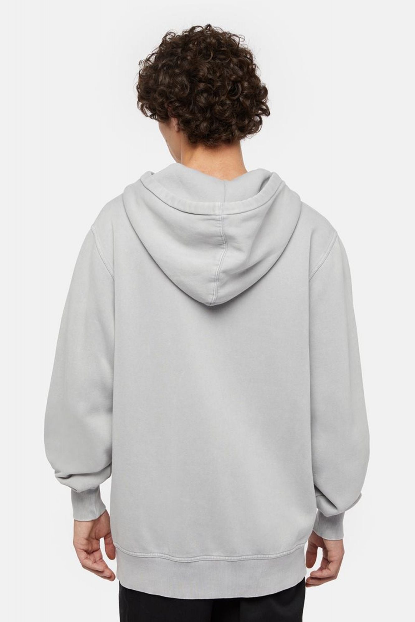 DICKIES PLENTYWOOD HOODIE ULTI en color GRIS (3)