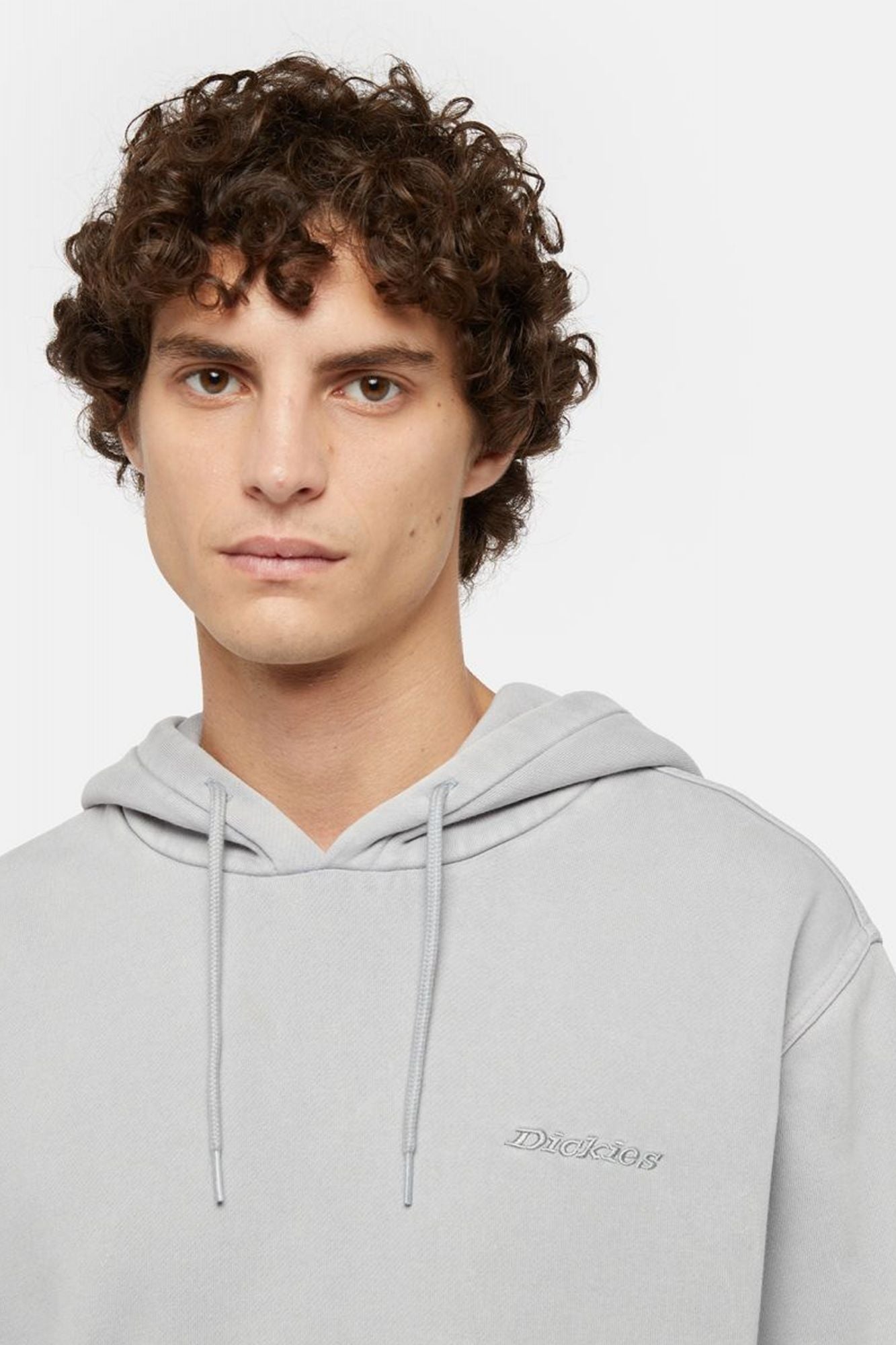 DICKIES PLENTYWOOD HOODIE ULTI en color GRIS (4)