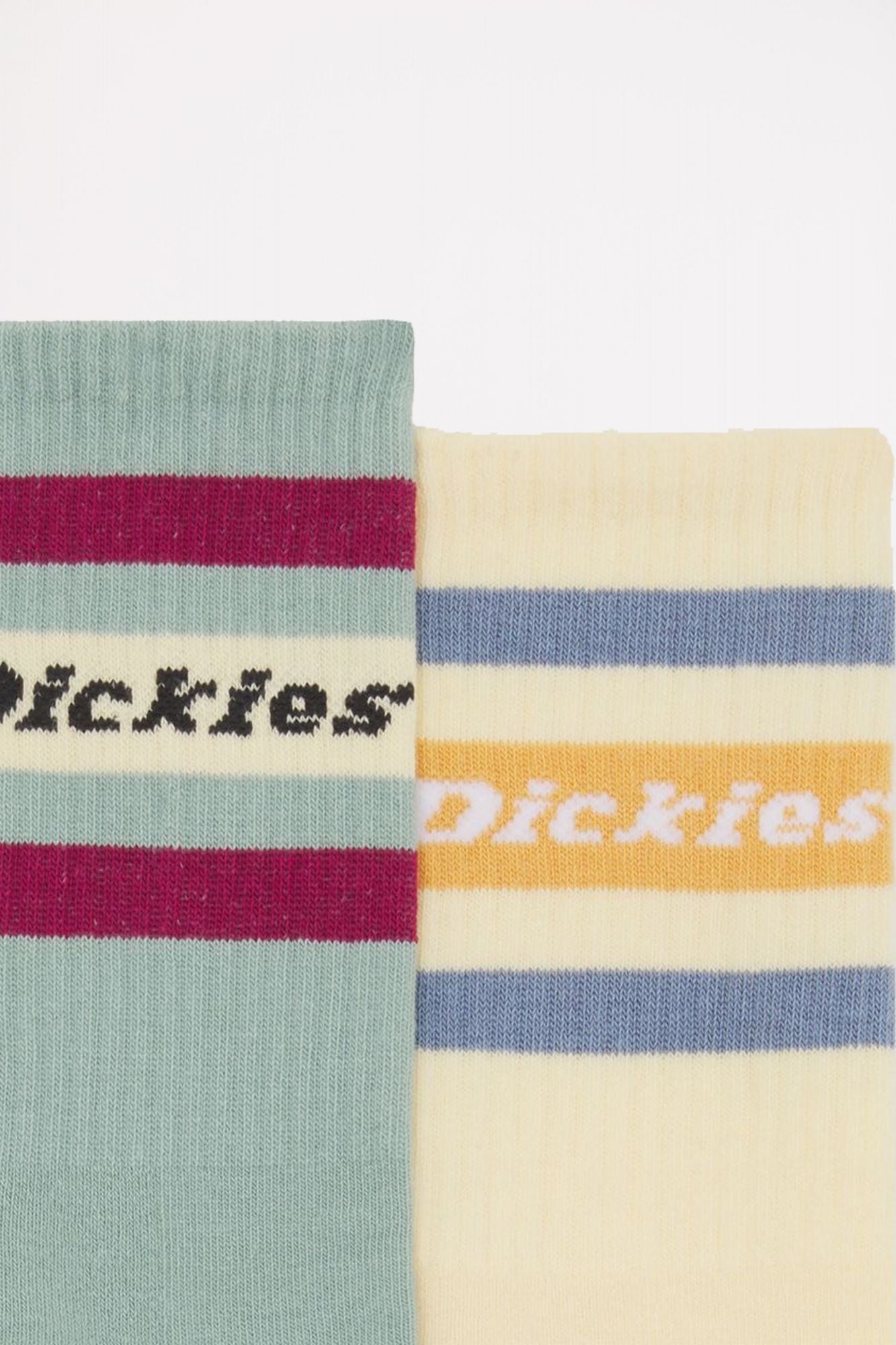DICKIES GENOLA ICEBERG GREEN en color MULTICOLOR (3)