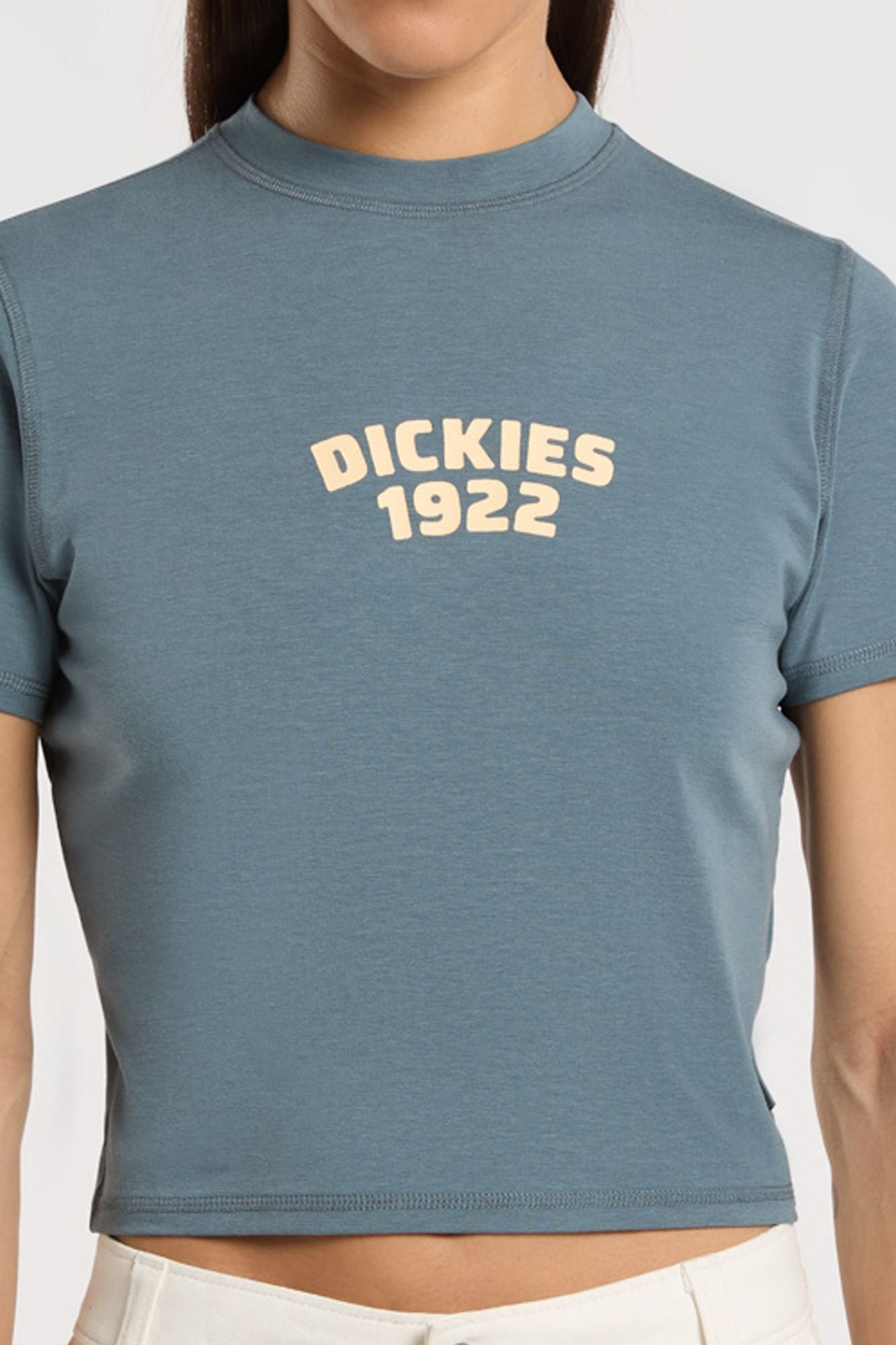 DICKIES DK0A4Z8FG701 CENTER LOGO en color AZUL (3)