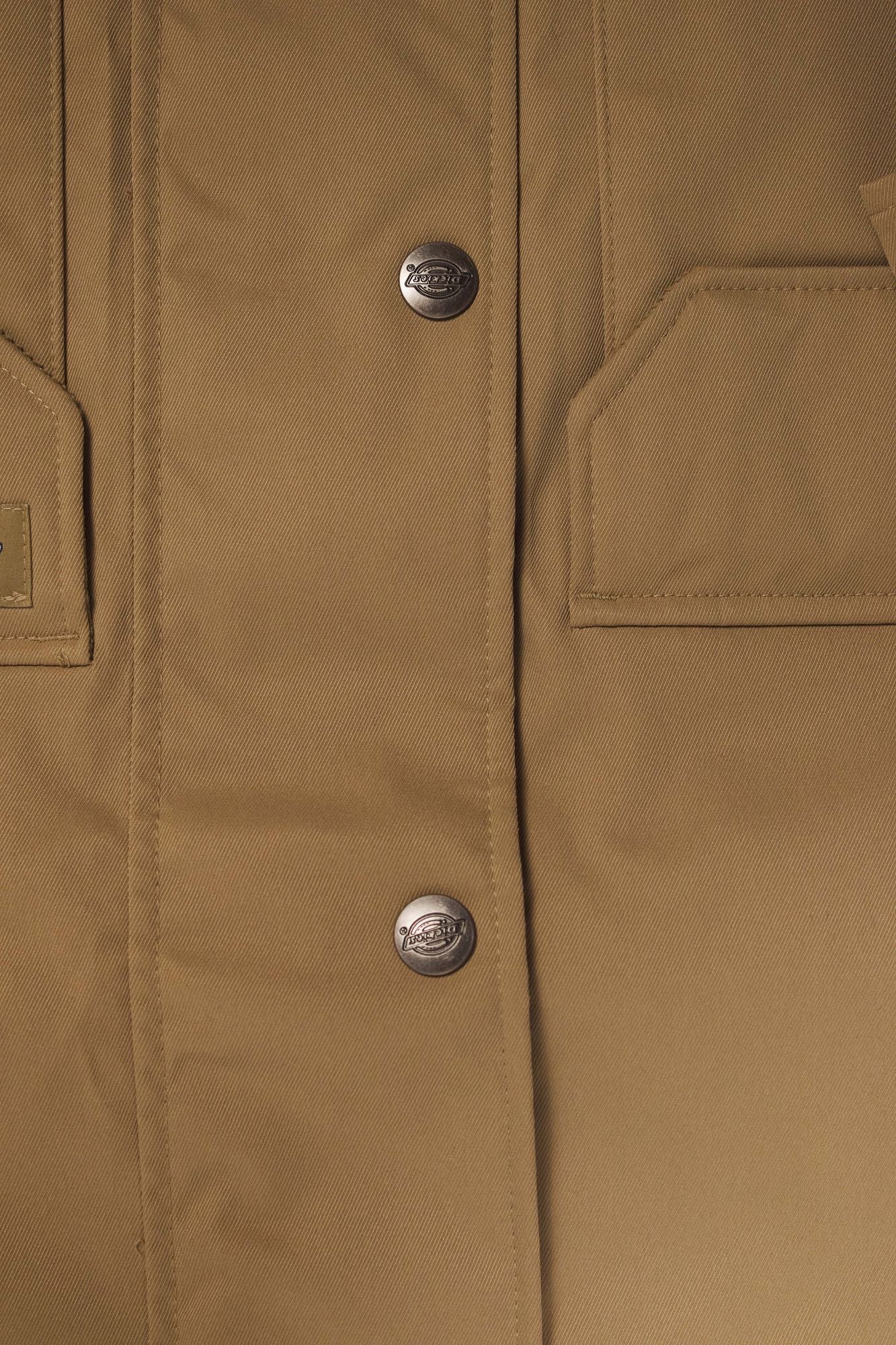 DICKIES MEDINA en color MARRON (3)