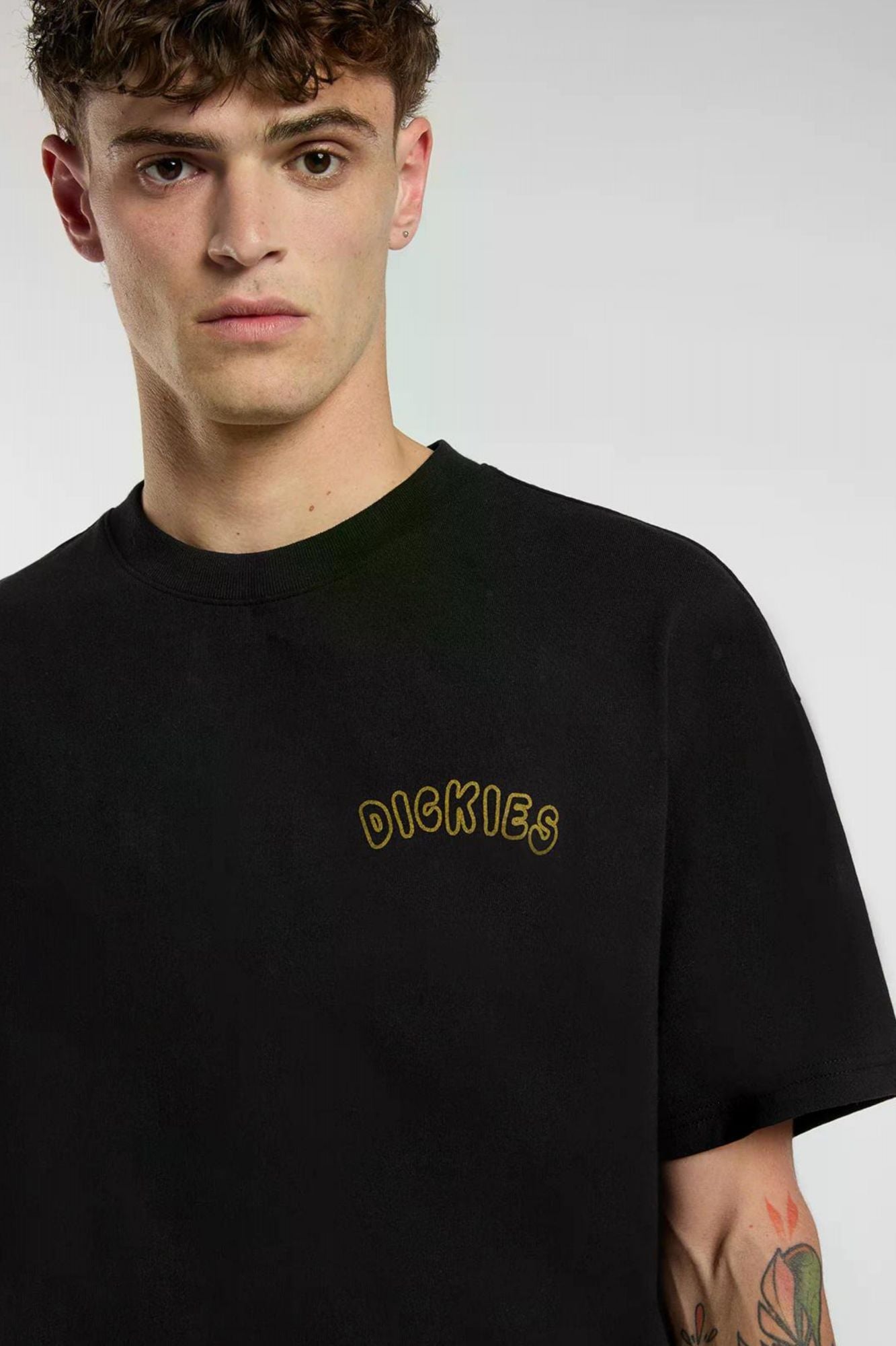 DICKIES DECARTUVILLE en color NEGRO (3)
