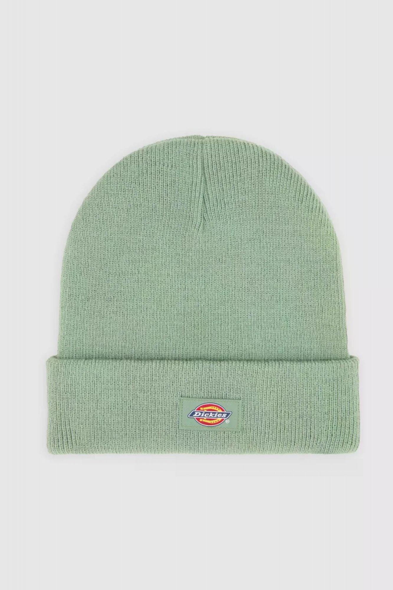 DICKIES GIBSLAND en color VERDE (1)