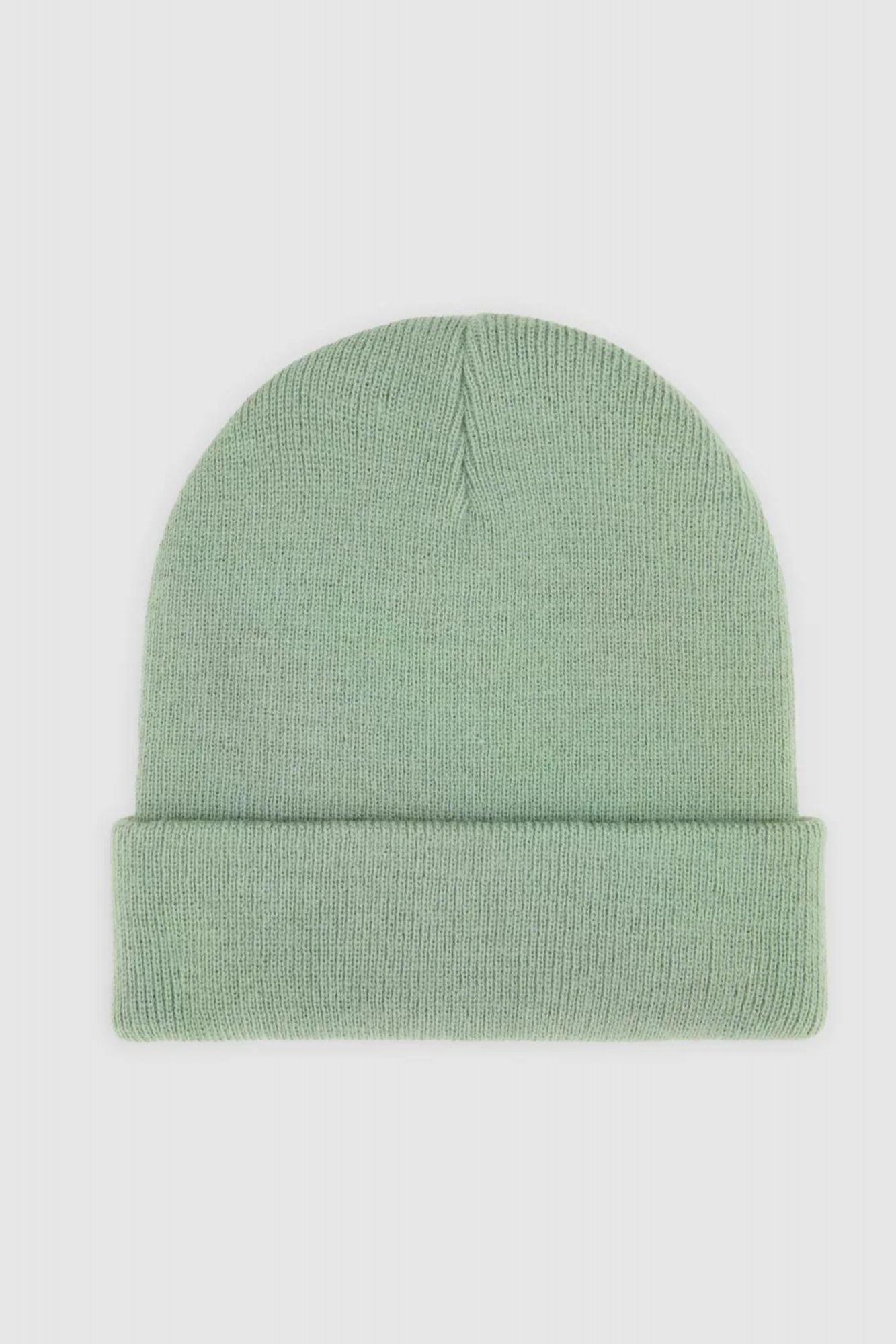 DICKIES GIBSLAND en color VERDE (2)