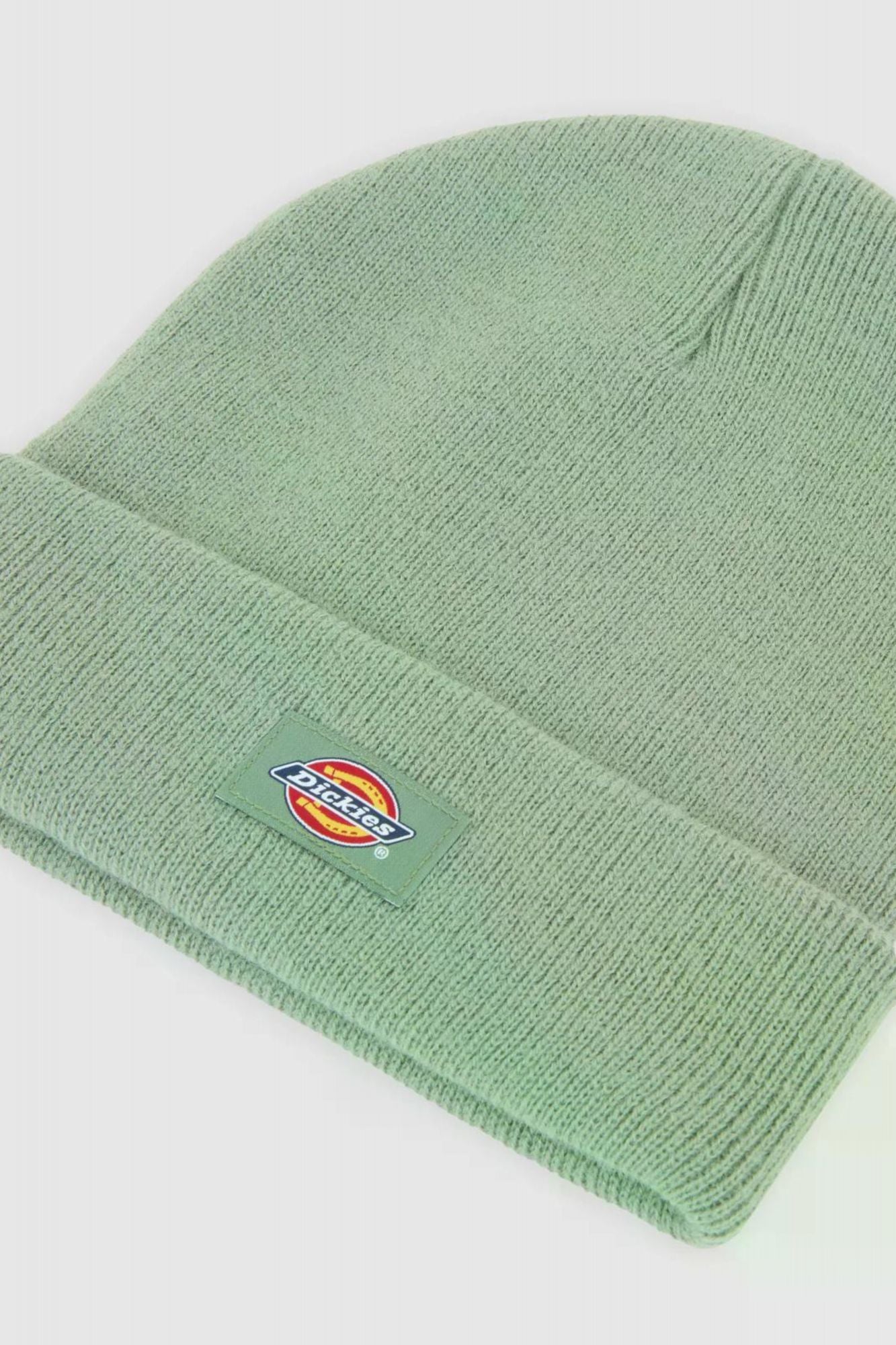 DICKIES GIBSLAND en color VERDE (3)