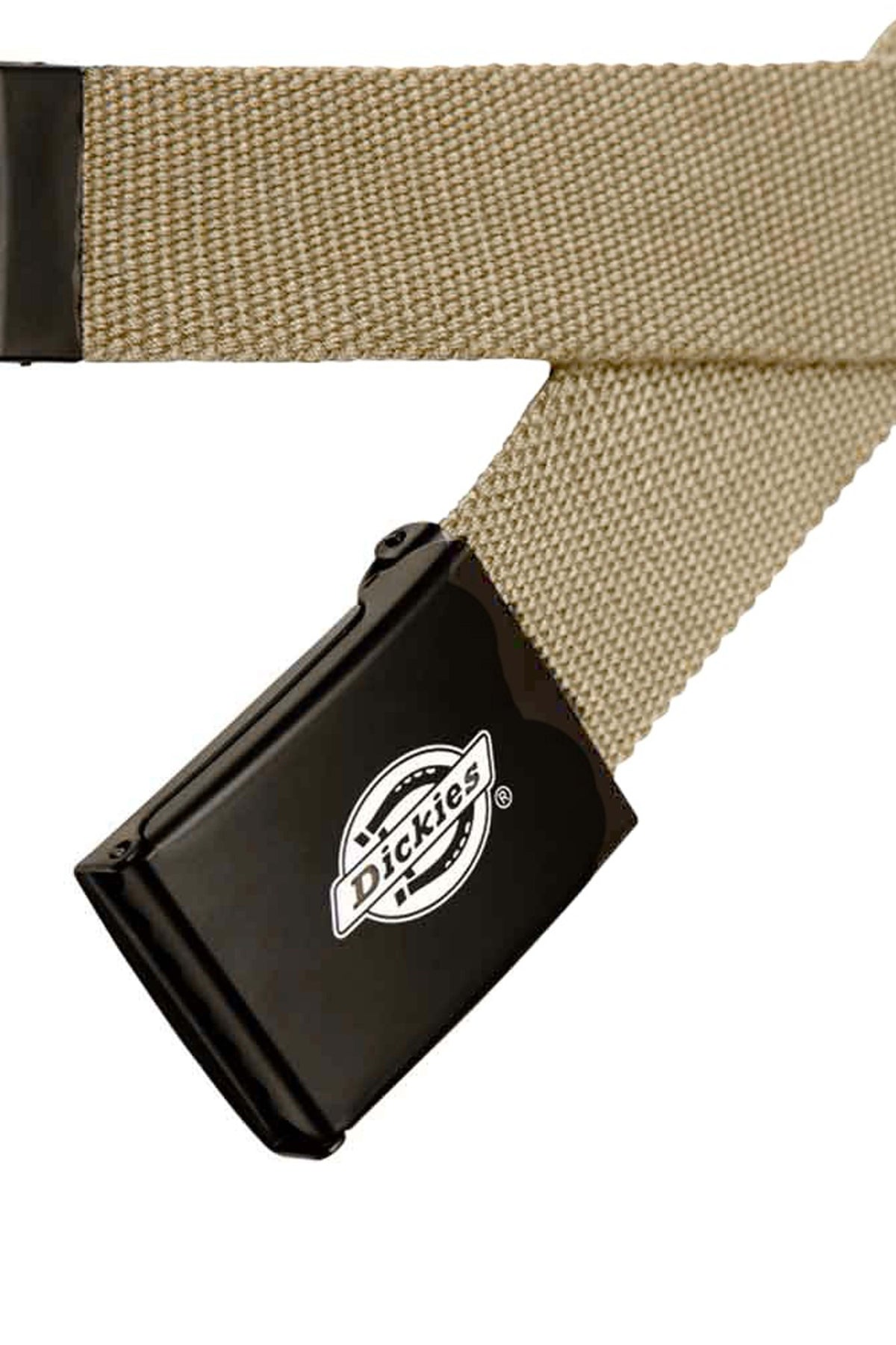 DICKIES DK0A4X7EKHK1 en color BEIS (2)
