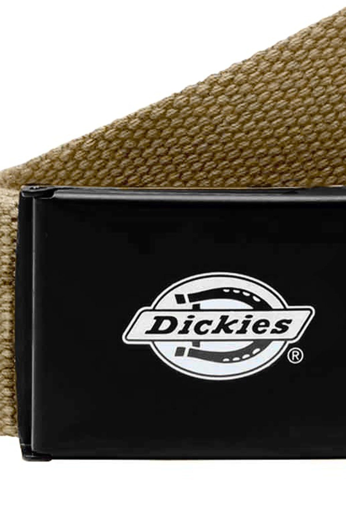 DICKIES DK0A4X7EKHK1 en color BEIS (3)