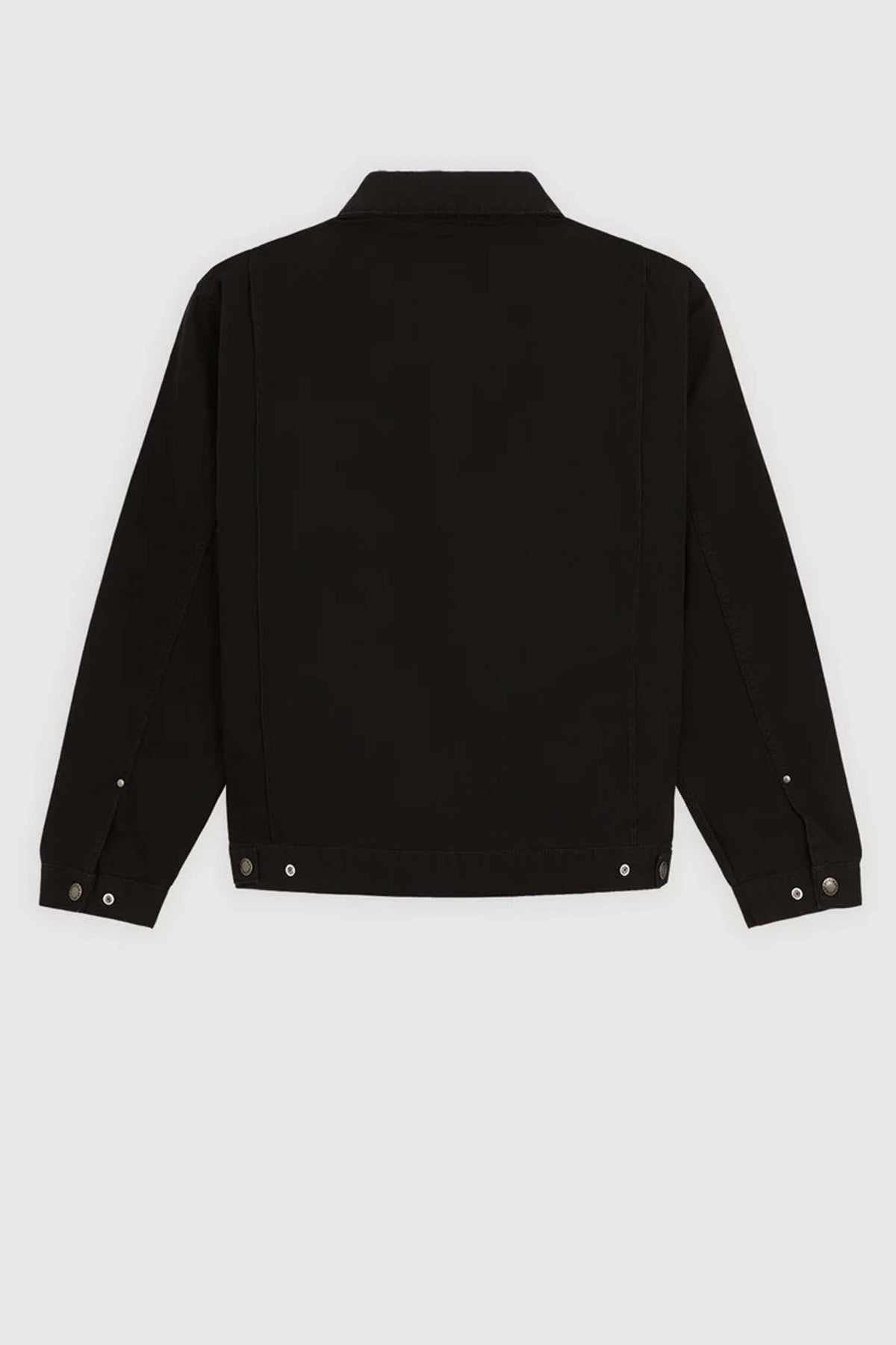 DICKIES DK0A88GQBLK1 en color NEGRO (4)