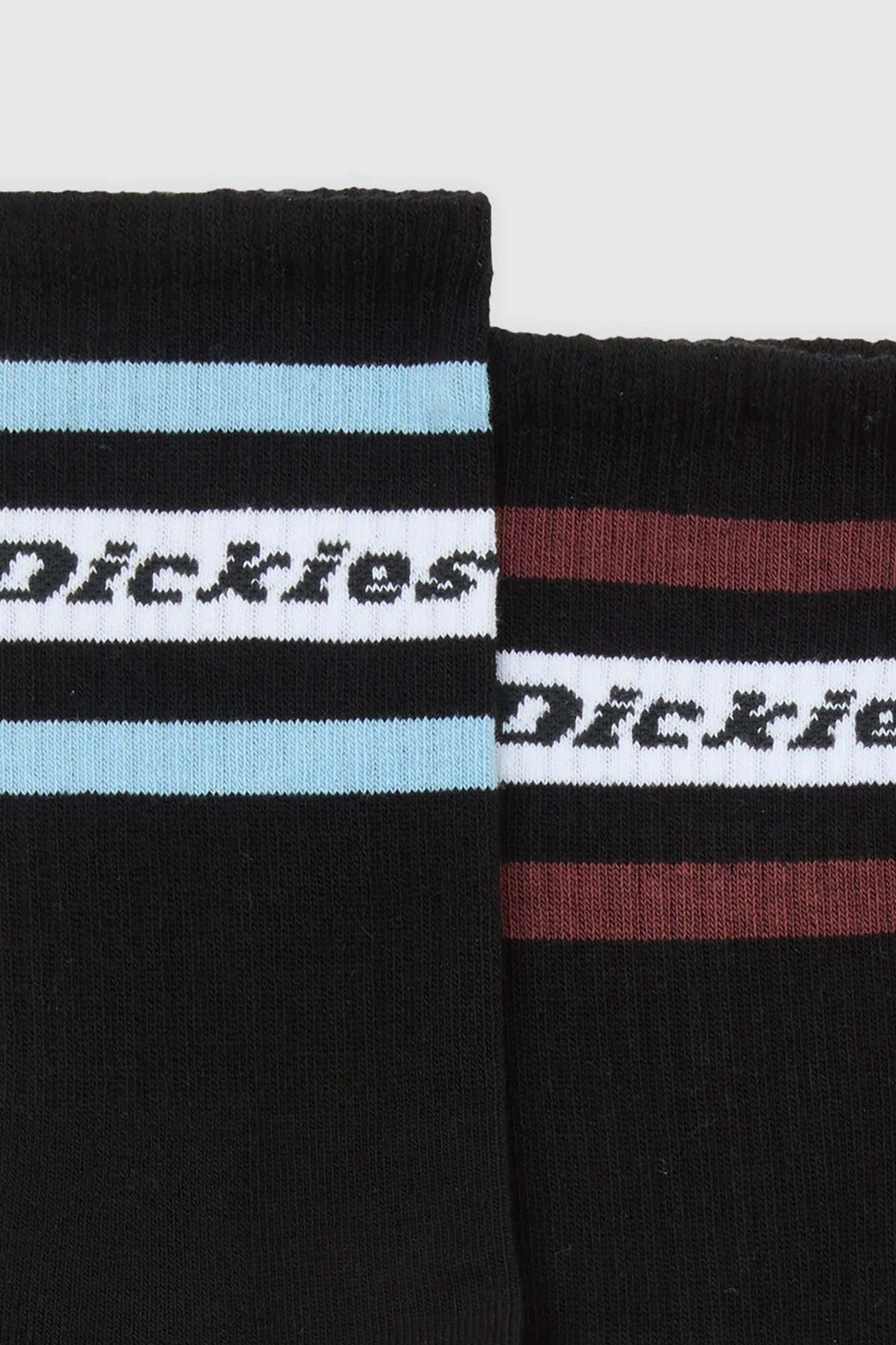 DICKIES DK0A4XDKL251 en color NEGRO (2)