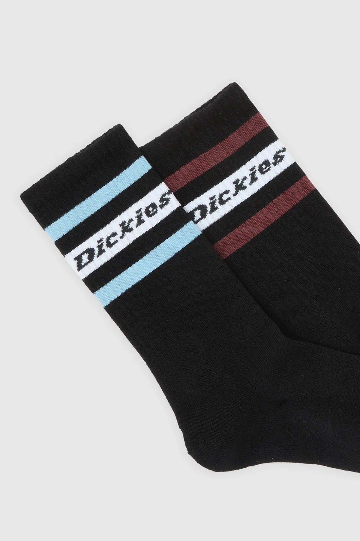 DICKIES DK0A4XDKL251 en color NEGRO (3)