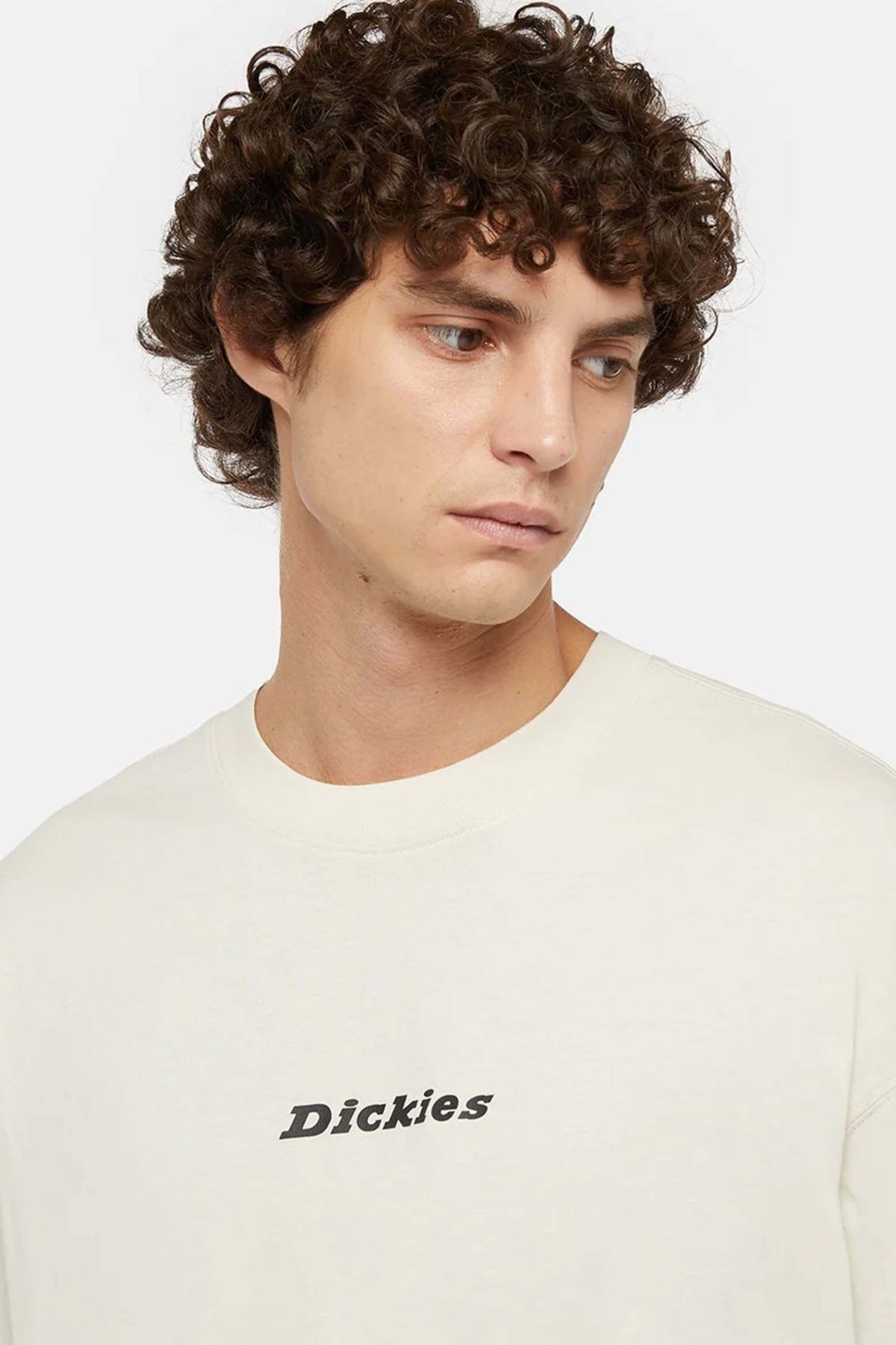 DICKIES DK0A4YRNF901 en color BLANCO (3)