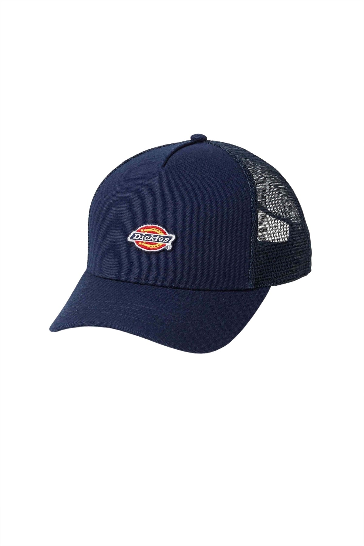 DICKIES DK0A4YV3L181 en color AZUL (1)