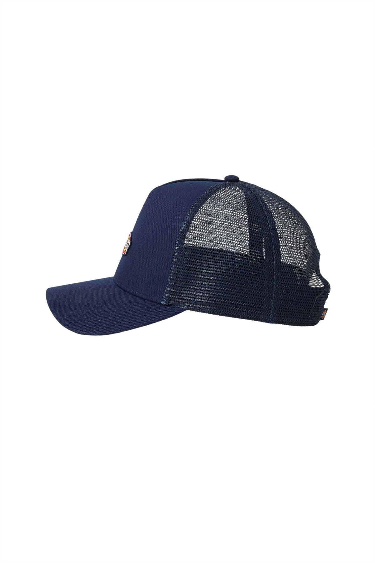 DICKIES DK0A4YV3L181 en color AZUL (3)