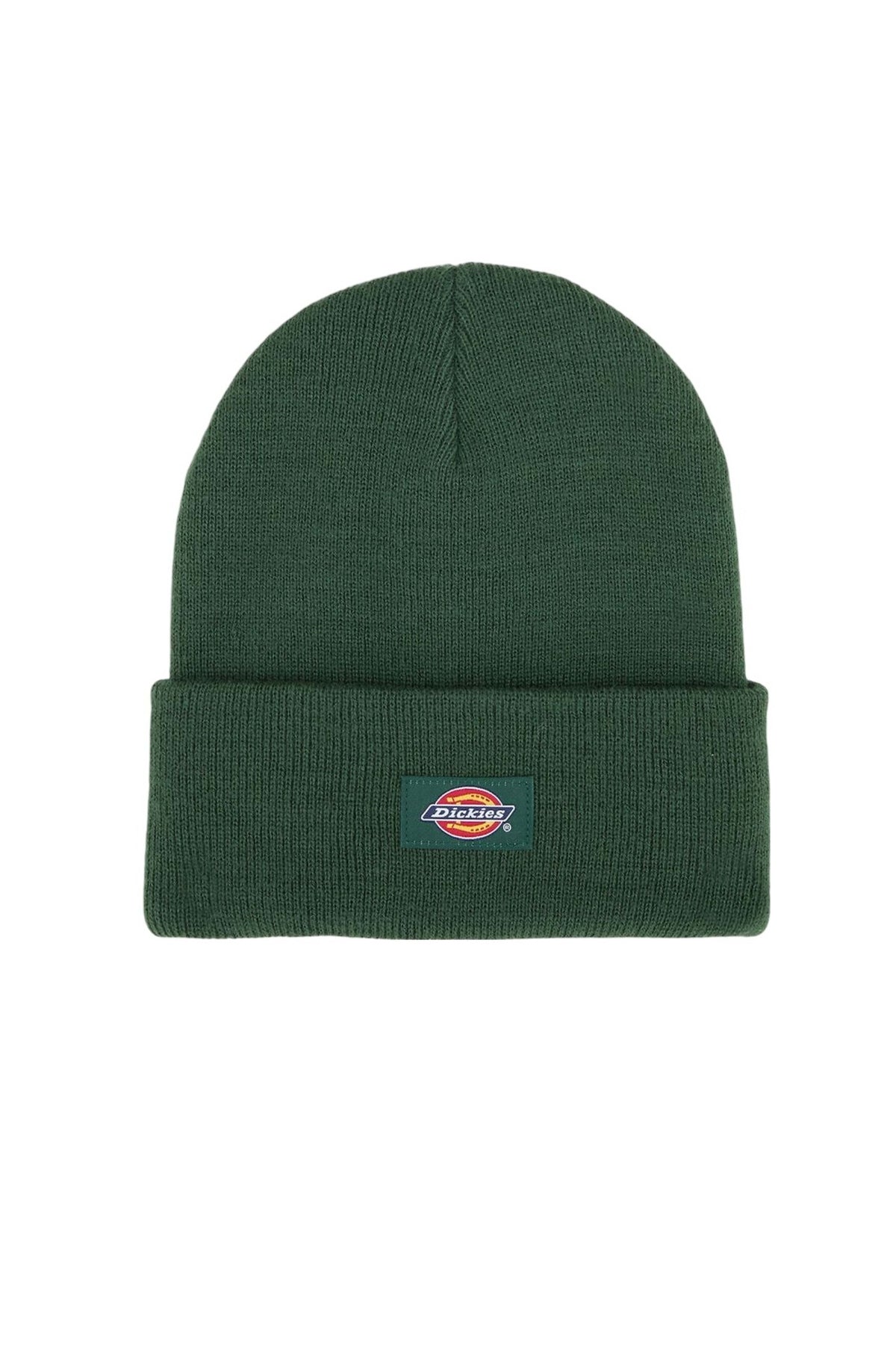 DICKIES DK0A4Z3RPIN1 en color VERDE (1)