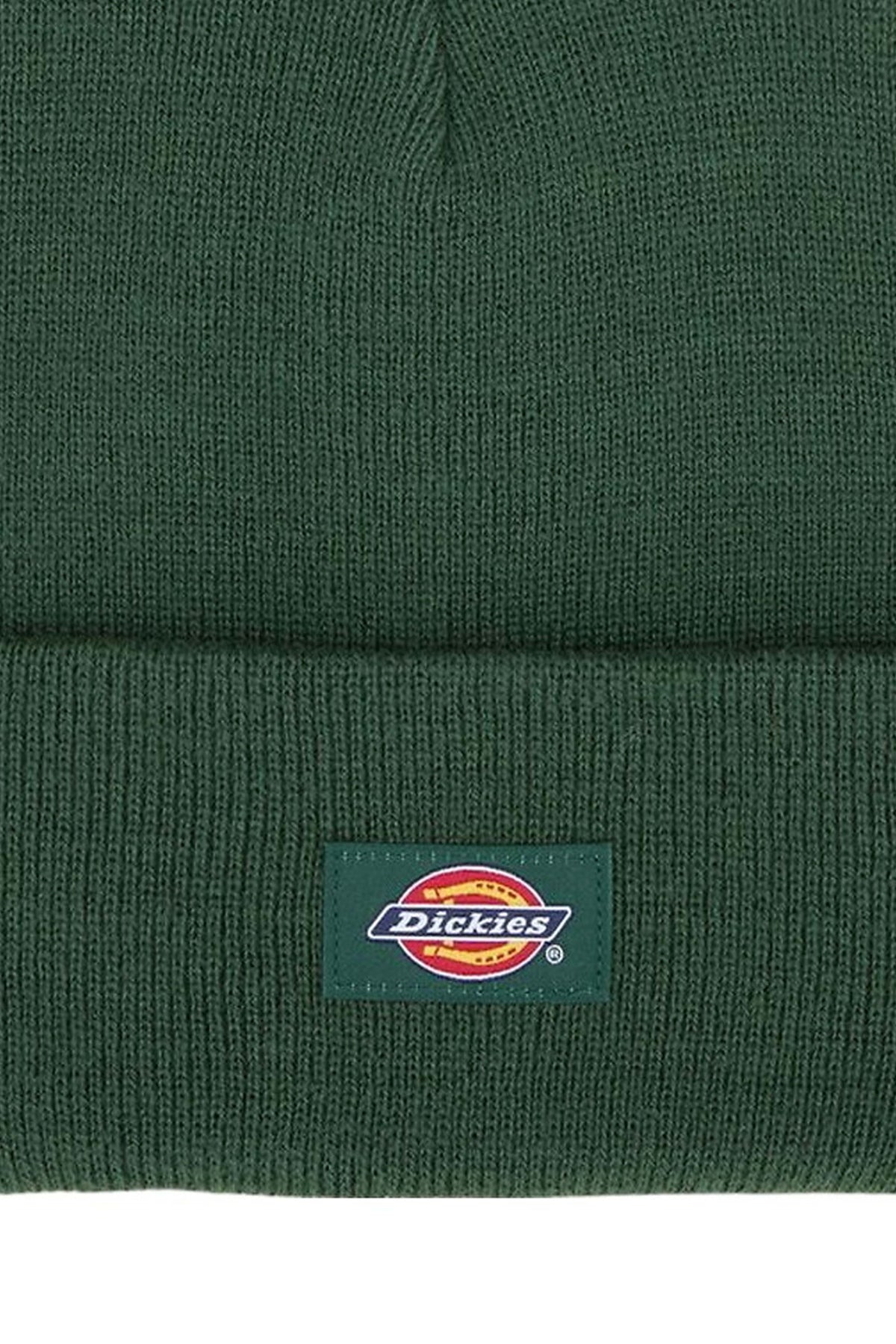 DICKIES DK0A4Z3RPIN1 en color VERDE (3)