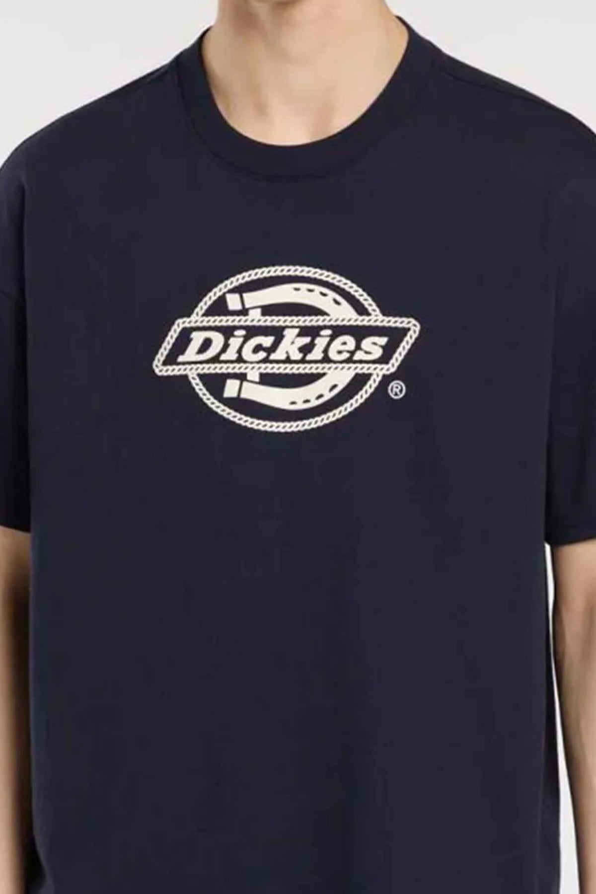 DICKIES DK0A87QSL181 en color AZUL (2)