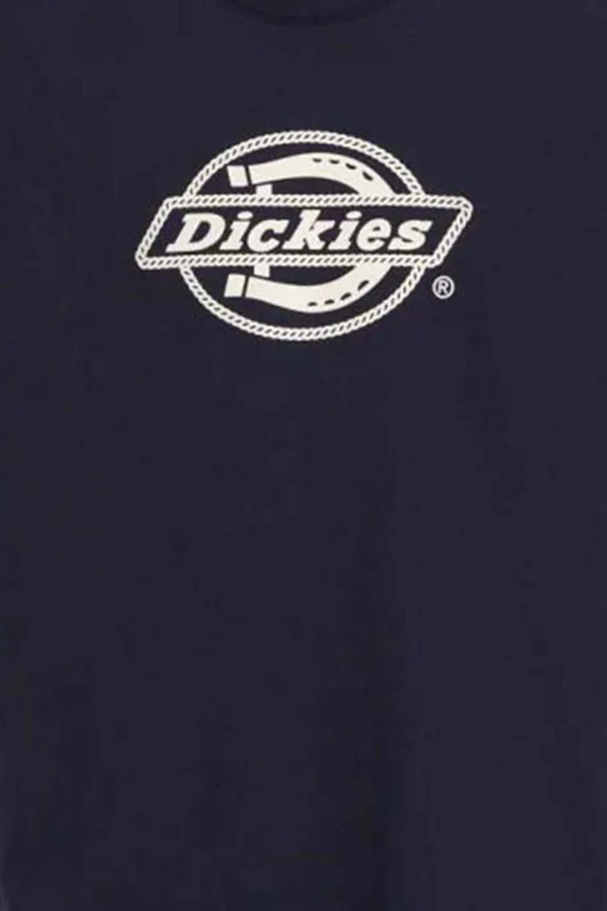 DICKIES DK0A87QSL181 en color AZUL (3)