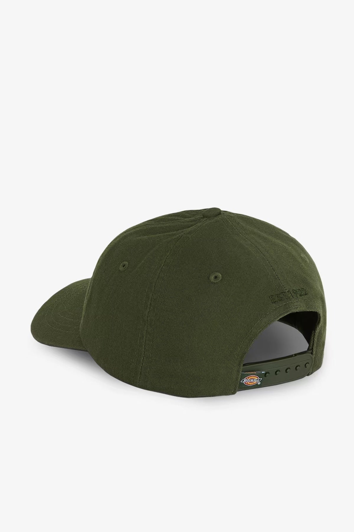 DICKIES DK0A4TKVL951 HARDWICK en color VERDE (2)