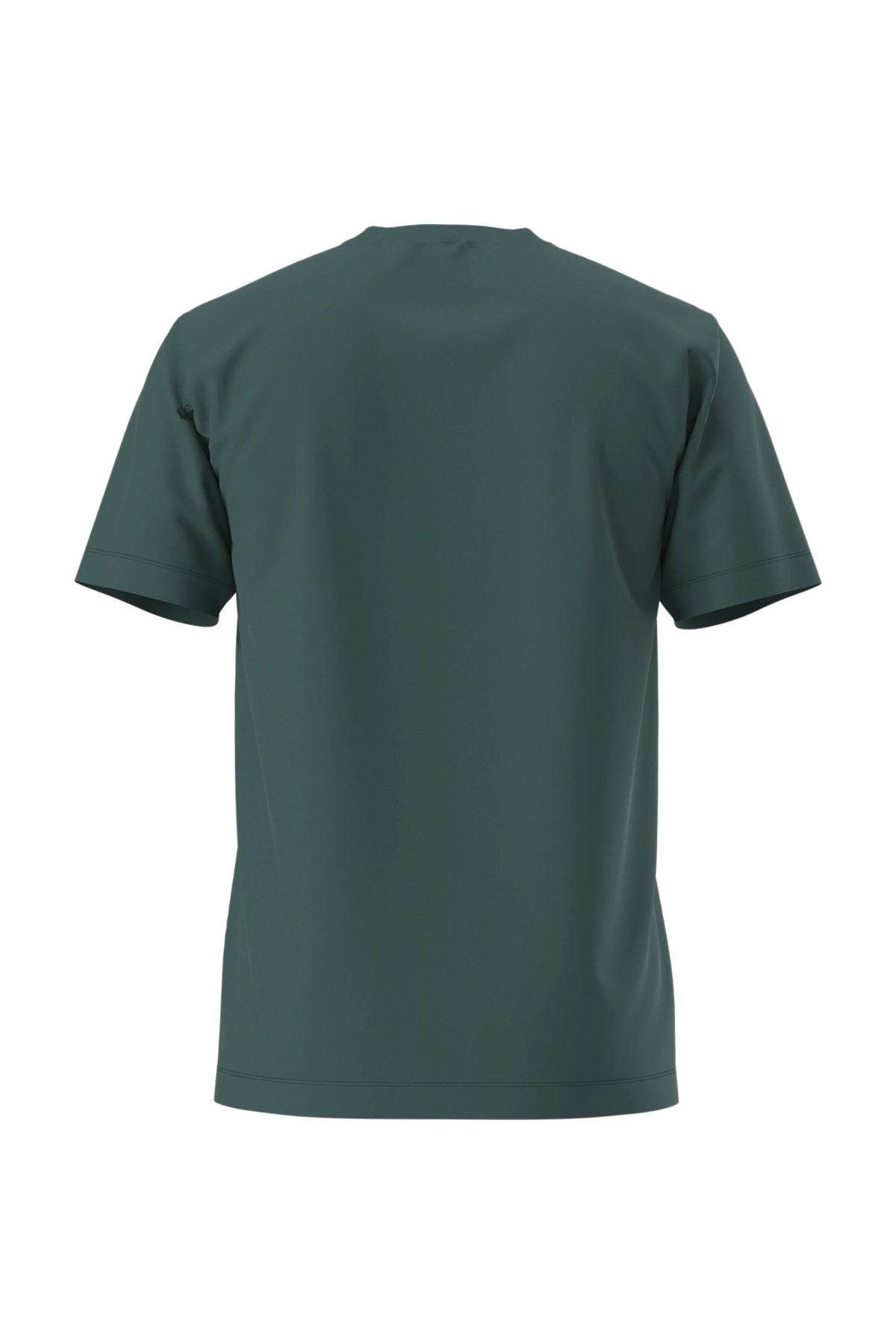 THE NORTH FACE M EVO SD REG SS TEE en color VERDE (2)