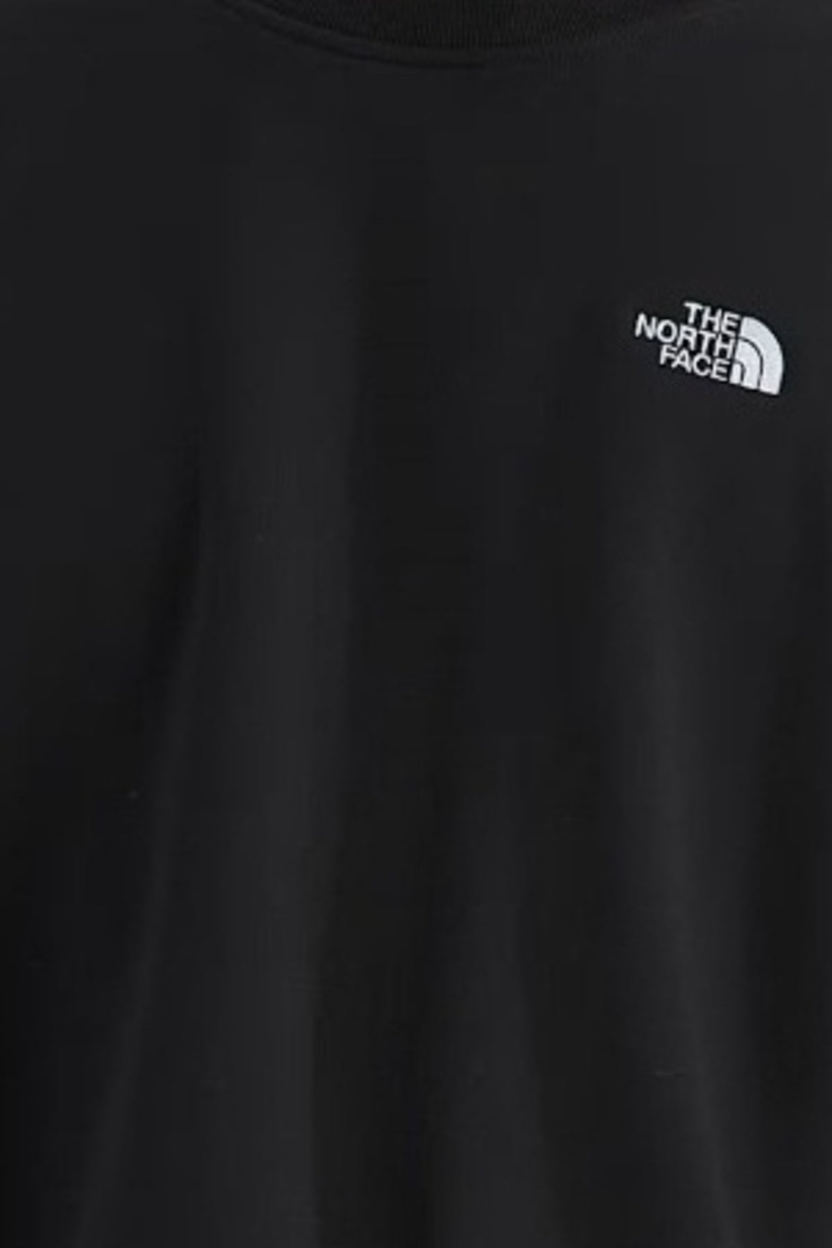 THE NORTH FACE M EVO SD REG CREW en color (3)