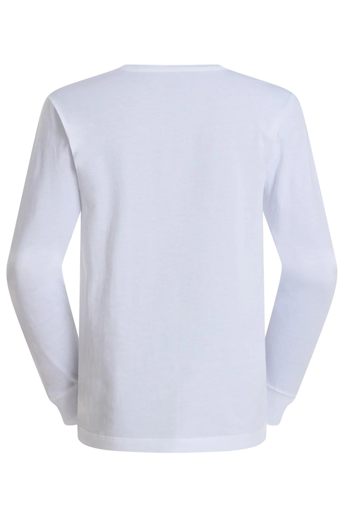 THE NORTH FACE M EVO SD REG LS TEE en color (2)