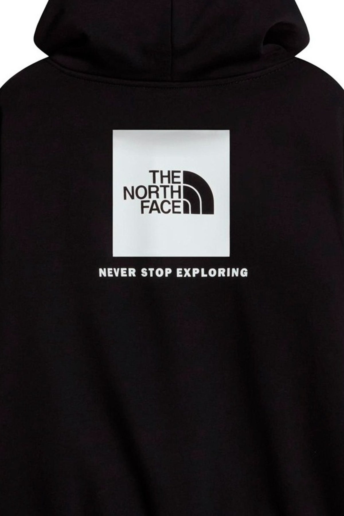 THE NORTH FACE M ESS SD RLX HOODIE en color (4)