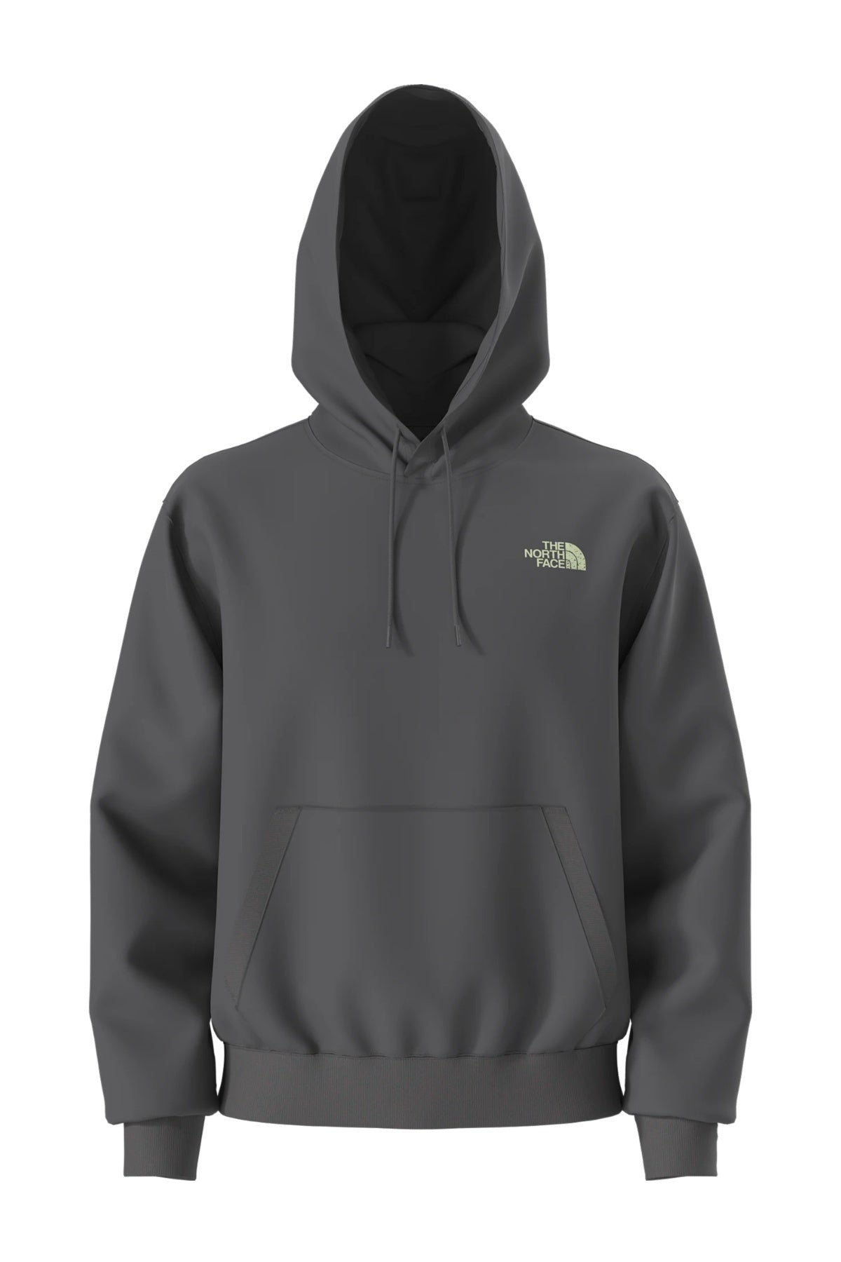 THE NORTH FACE U HOODIE RELAXED - SKI en color GRIS (1)