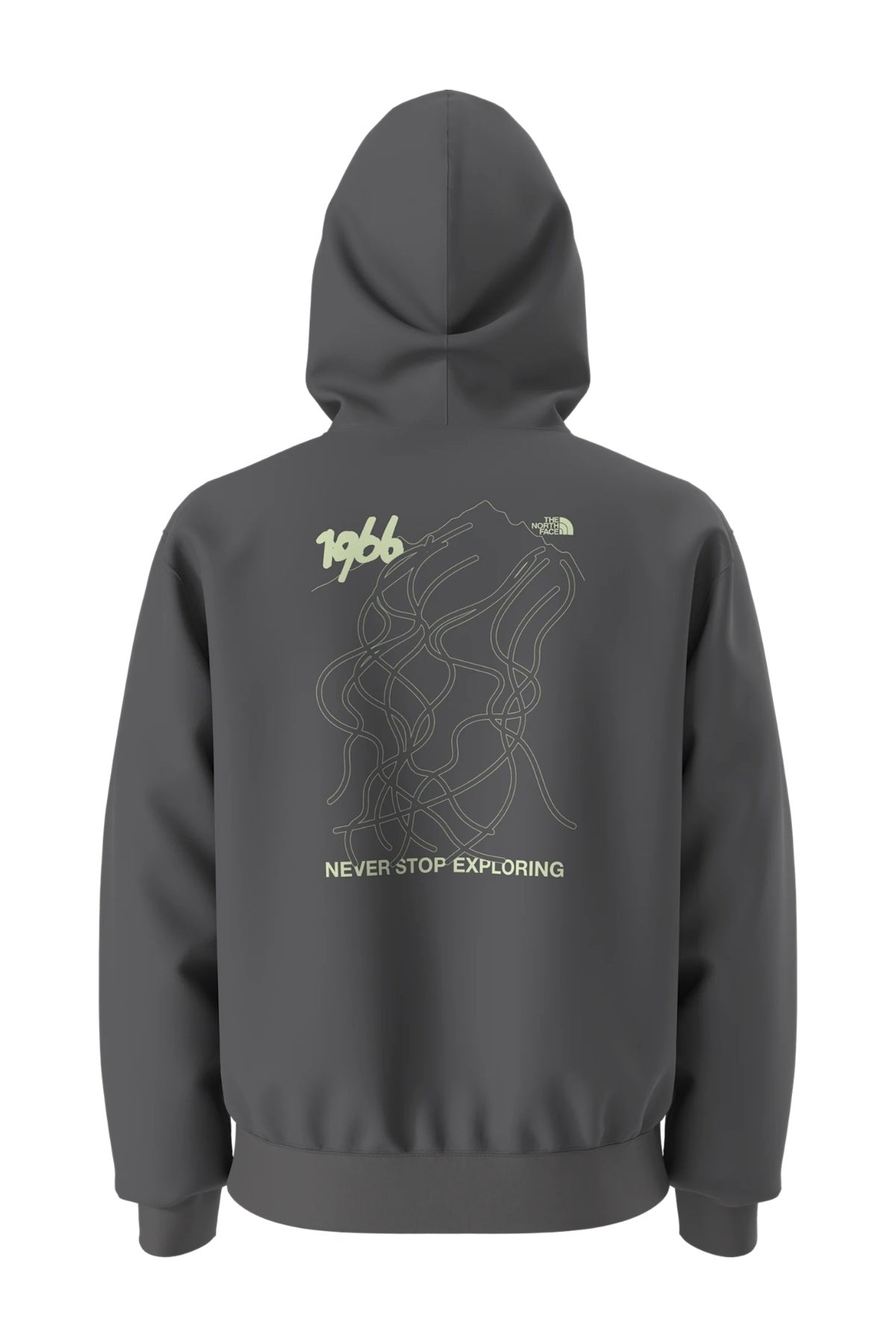 THE NORTH FACE U HOODIE RELAXED - SKI en color GRIS (2)
