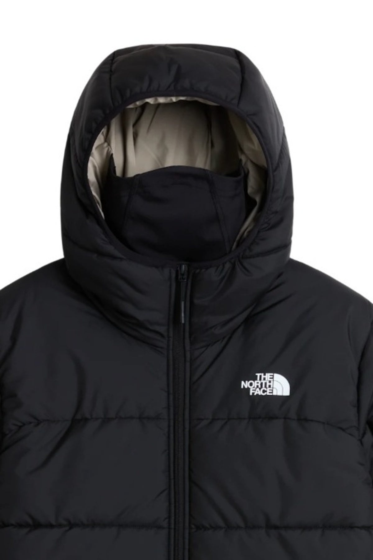 THE NORTH FACE M NSE HOODED MASK JKT en color (3)