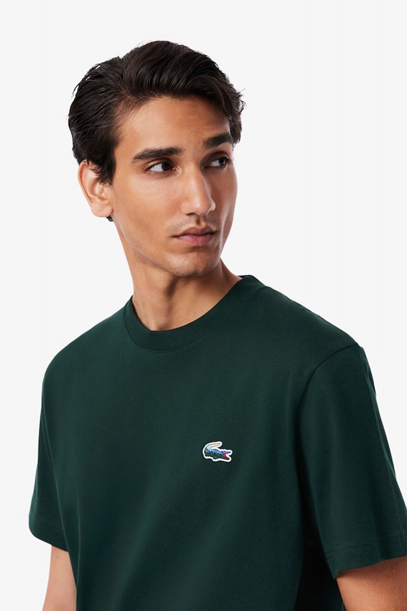 LACOSTE HEAVY JERSEY LANDSCAPE CROCODILE T-SHIRT en color VERDE (4)