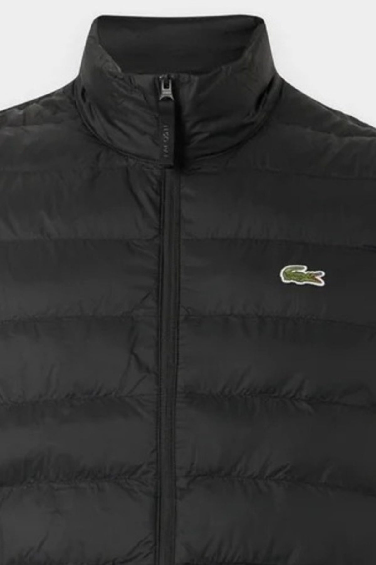 LACOSTE BH8693 PUFFER JACKETS en color (3)