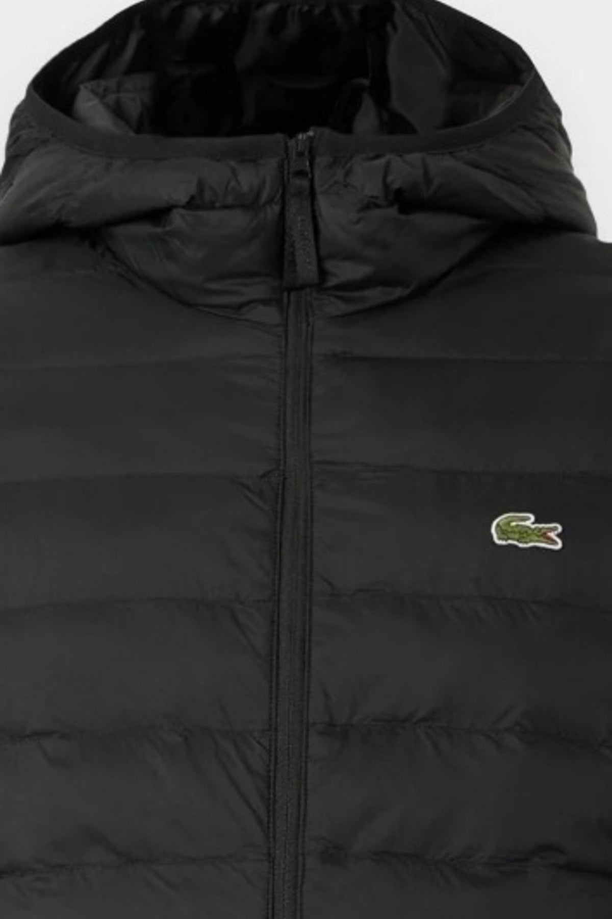 LACOSTE BH8714 PUFFER JACKETS en color NEGRO (3)
