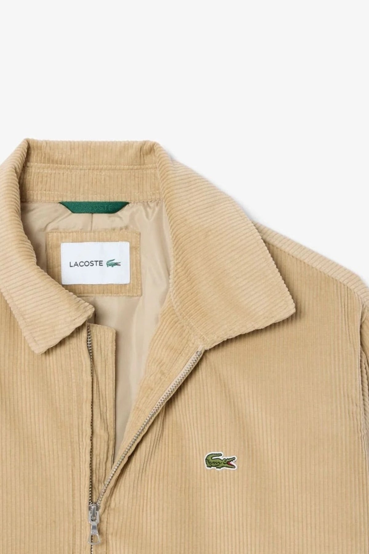 LACOSTE BH2994 en color MARRON CLARO (2)