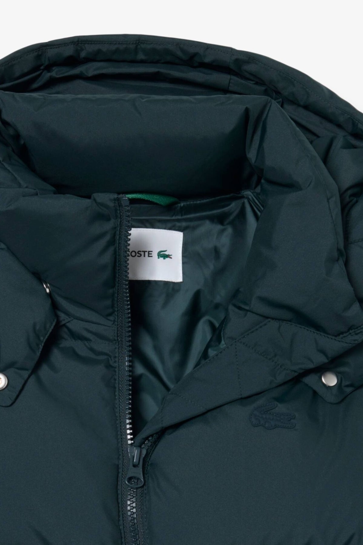 LACOSTE BF8434 en color VERDE (3)
