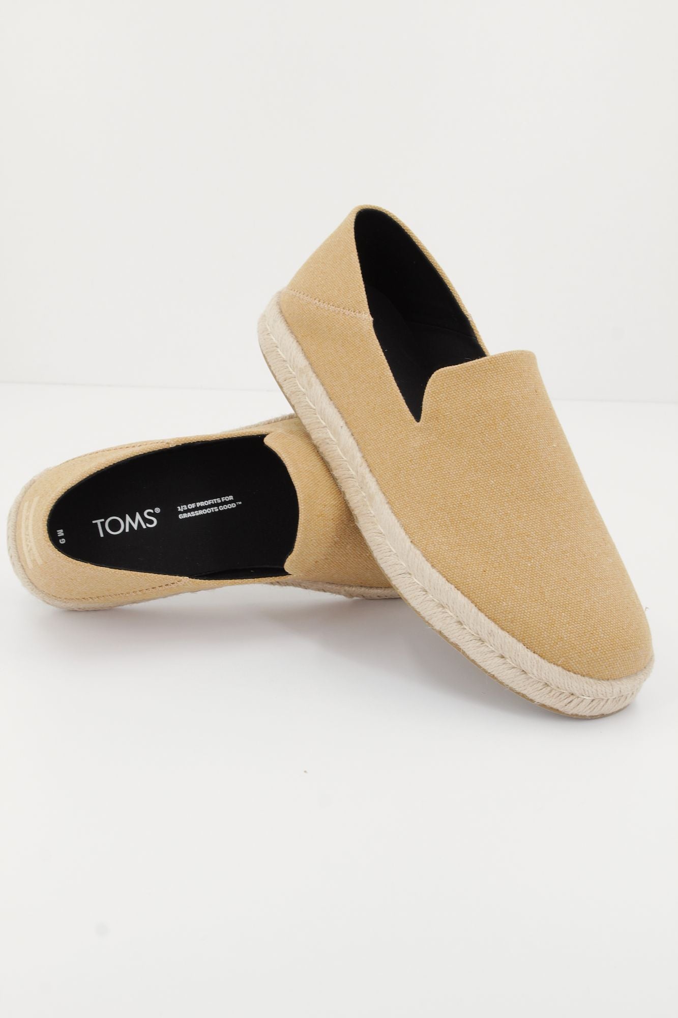 TOMS SANTIAGO en color MARRON CLARO (1)