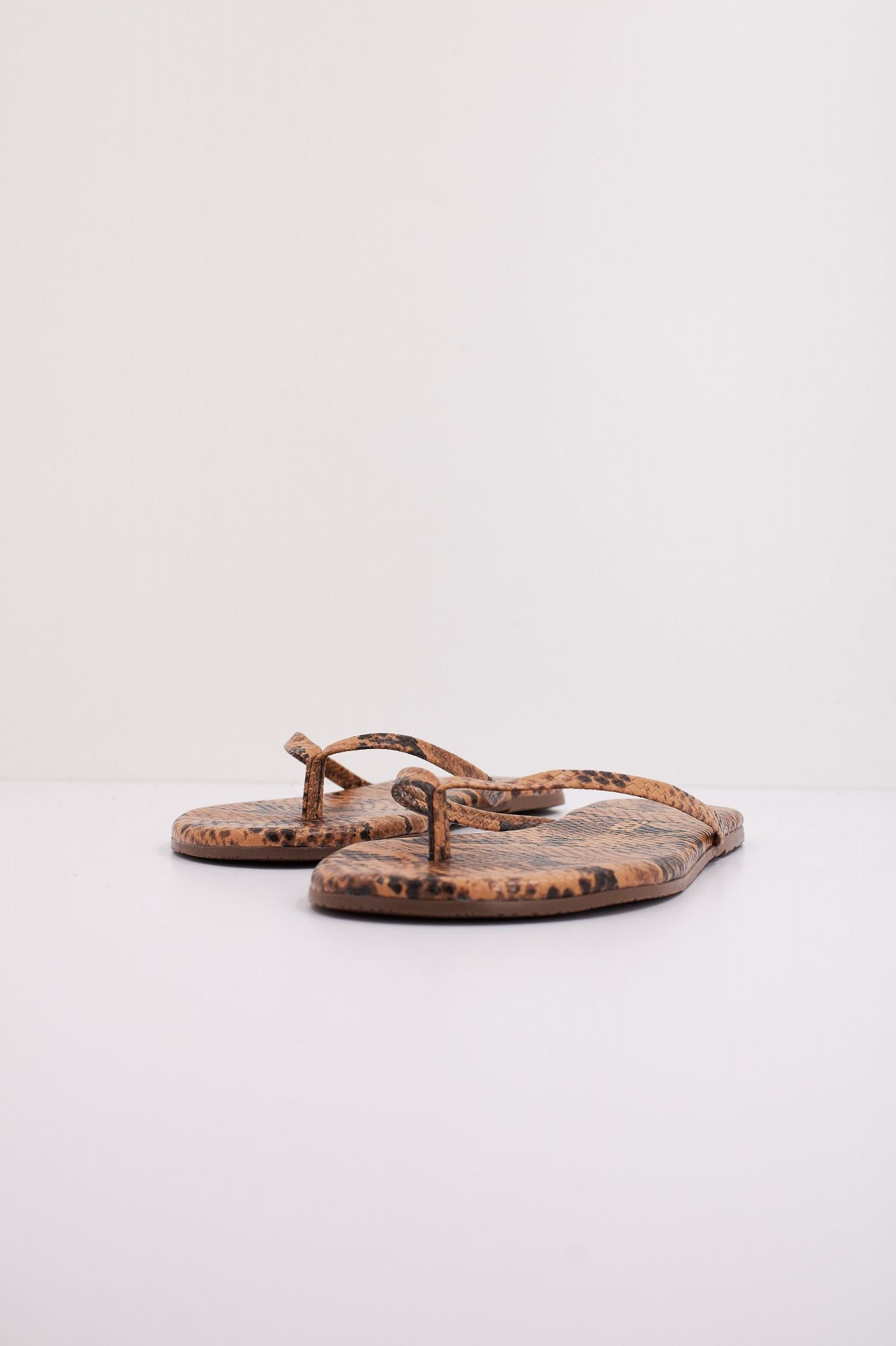 TKEES TKESTUDIO en color ANIMAL PRINT (2)