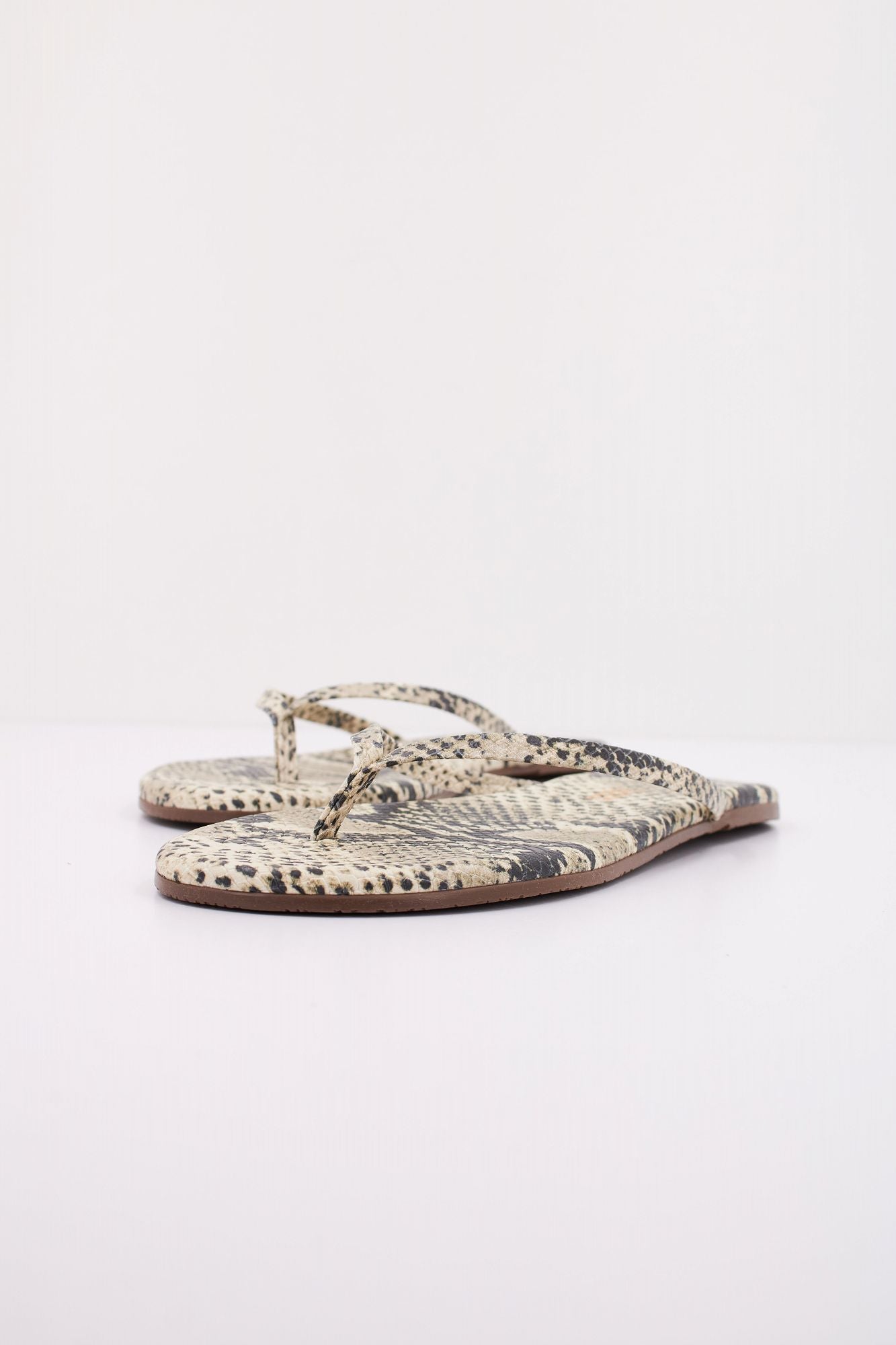 TKEES TKESTUDIO en color ANIMAL PRINT (2)