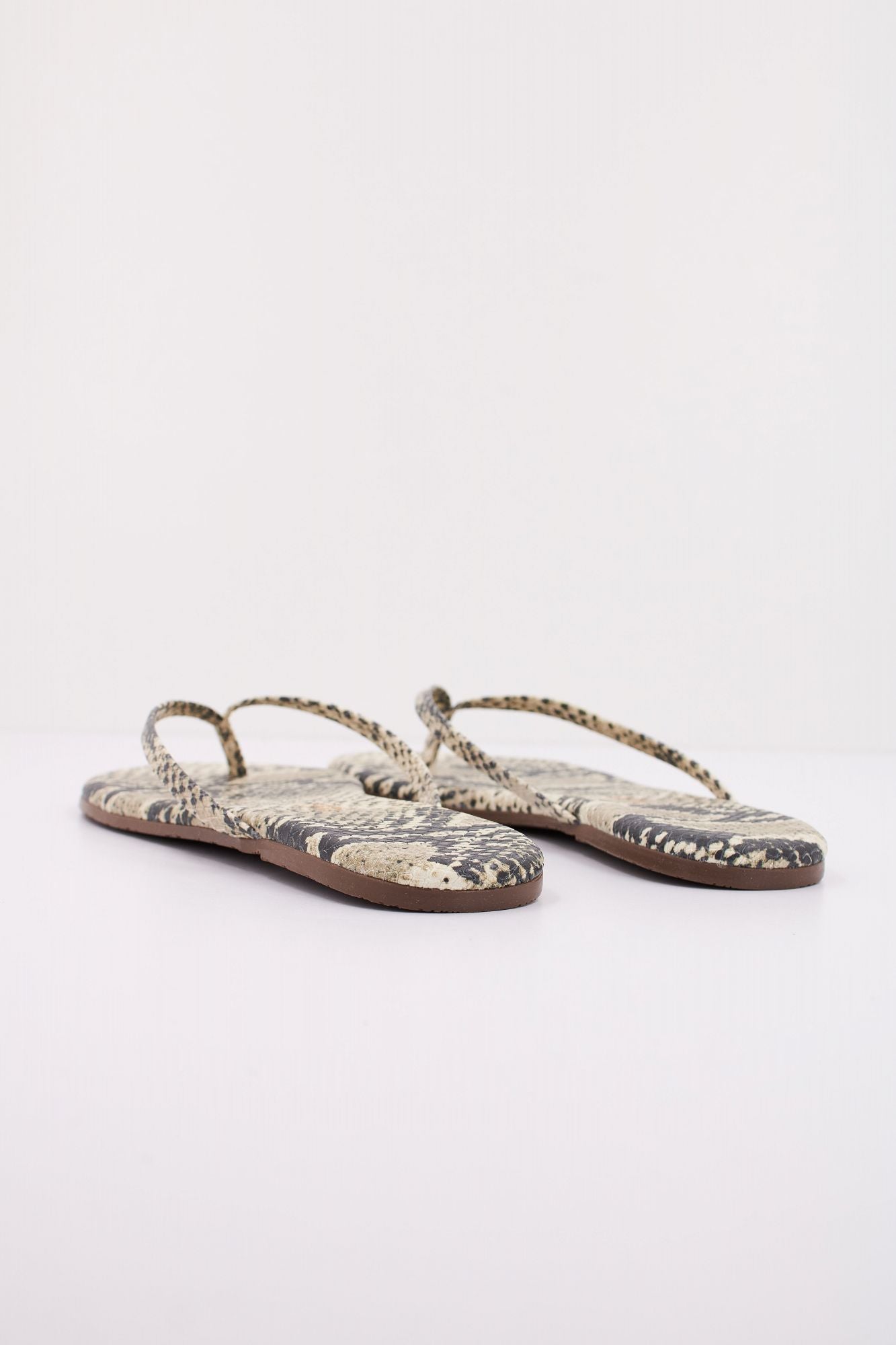 TKEES TKESTUDIO en color ANIMAL PRINT (4)