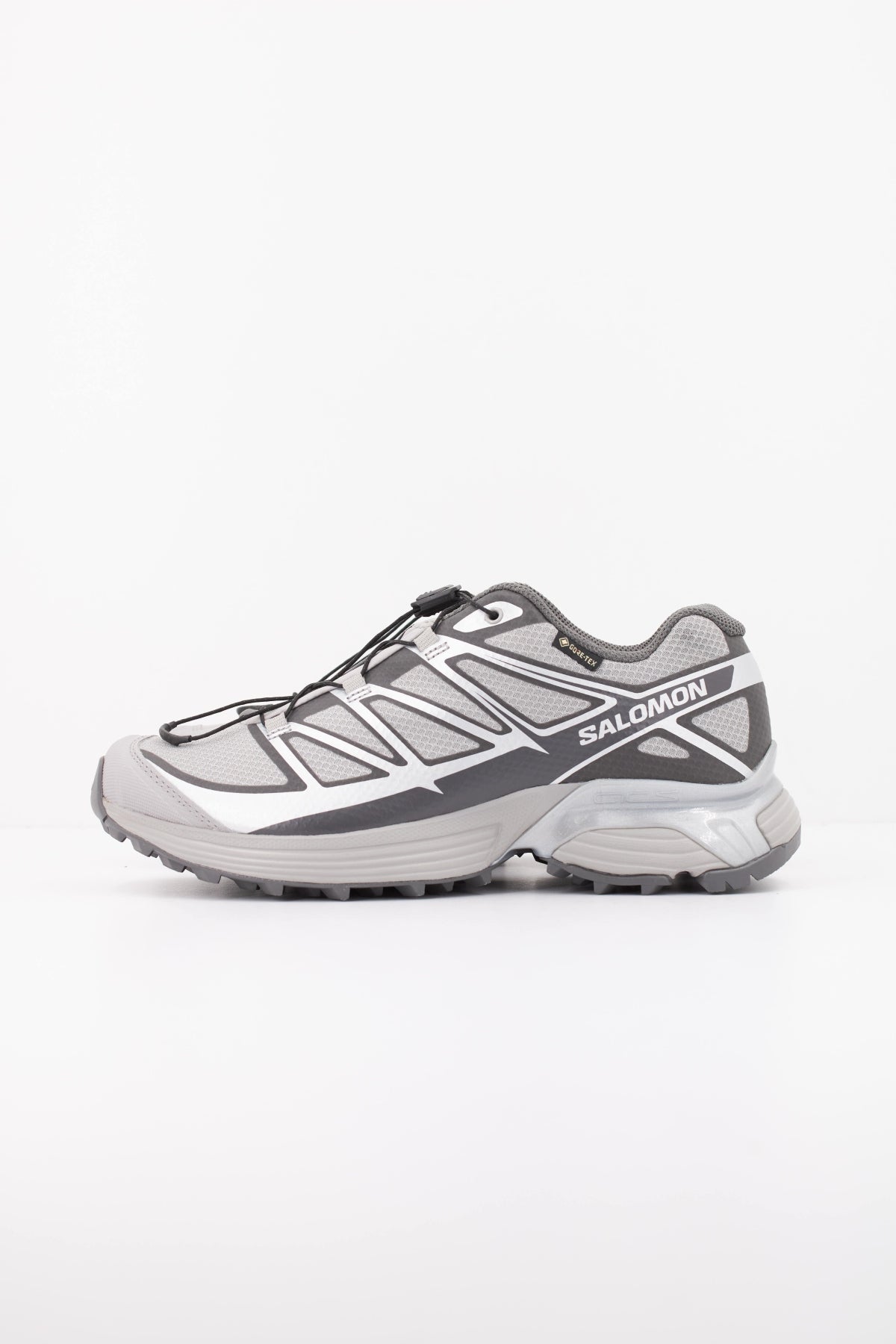 SALOMON XT PATHWAY GTX en color PLATA (1)